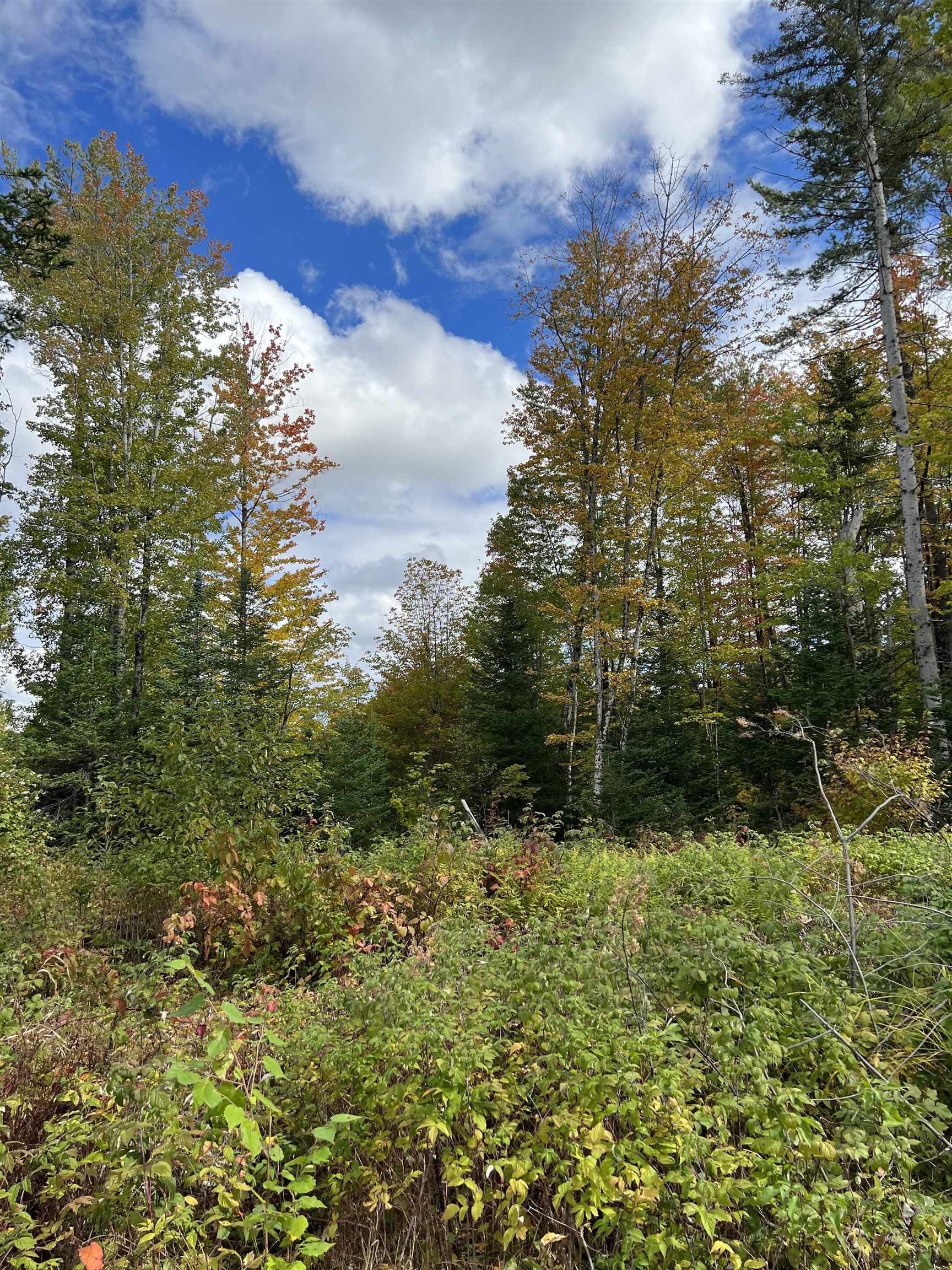 Homes for sale in Dalton, NH | 0 Evergreen Dr, Dalton, NH 03598 | MLS# 5053512