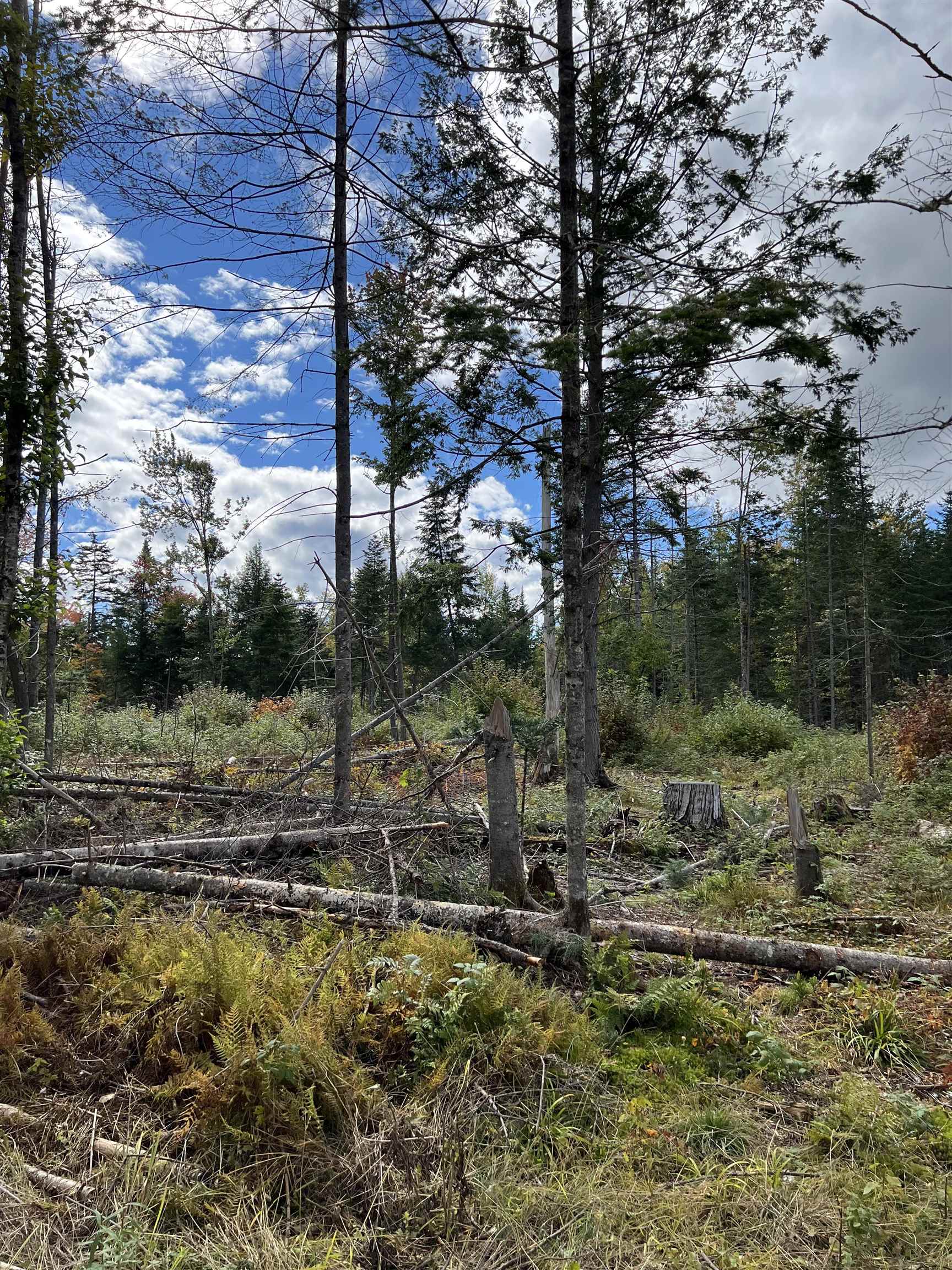 Homes for sale in Dalton, NH | 0 Evergreen Dr, Dalton, NH 03598 | MLS# 5053512