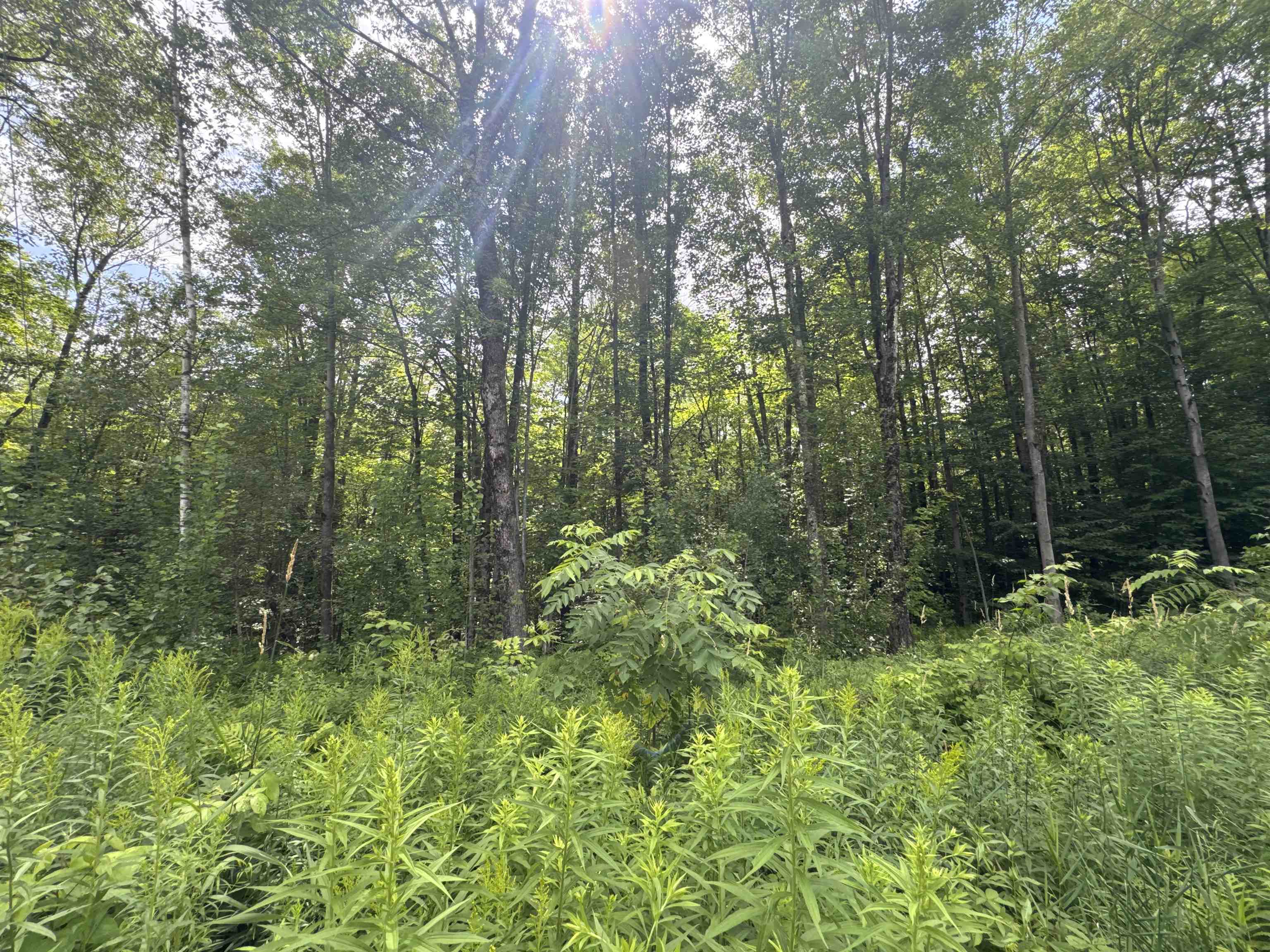 Homes for sale in Fairfield, VT | 95 Barrywilde Rd, Fairfield, VT 05455 | MLS# 5053568