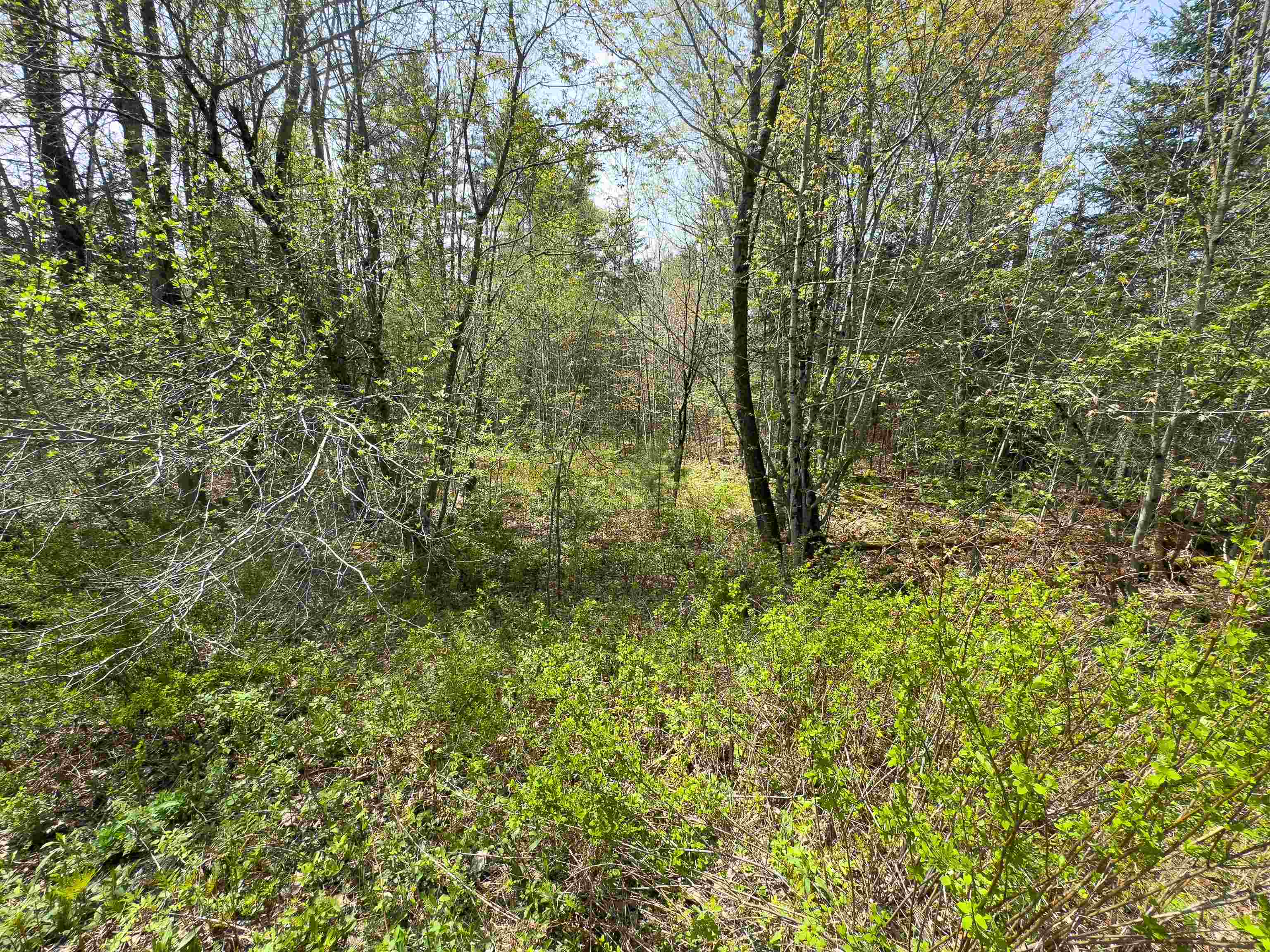 Homes for sale in Concord, VT | 538 Oregon Rd, Concord, VT 05824 | MLS# 5053579