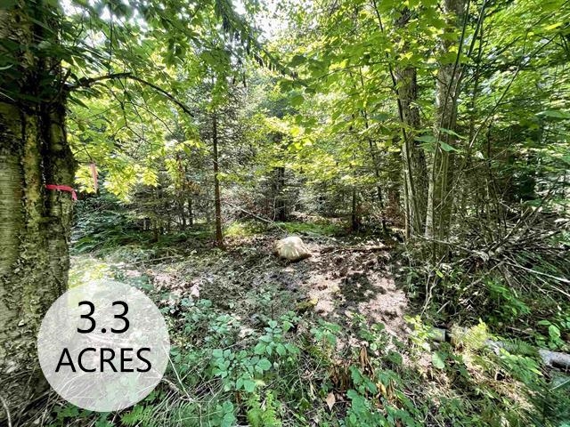 Homes for sale in Westmore, VT | 00 Peene Hill Rd, Westmore, VT 05822 | MLS# 5053659