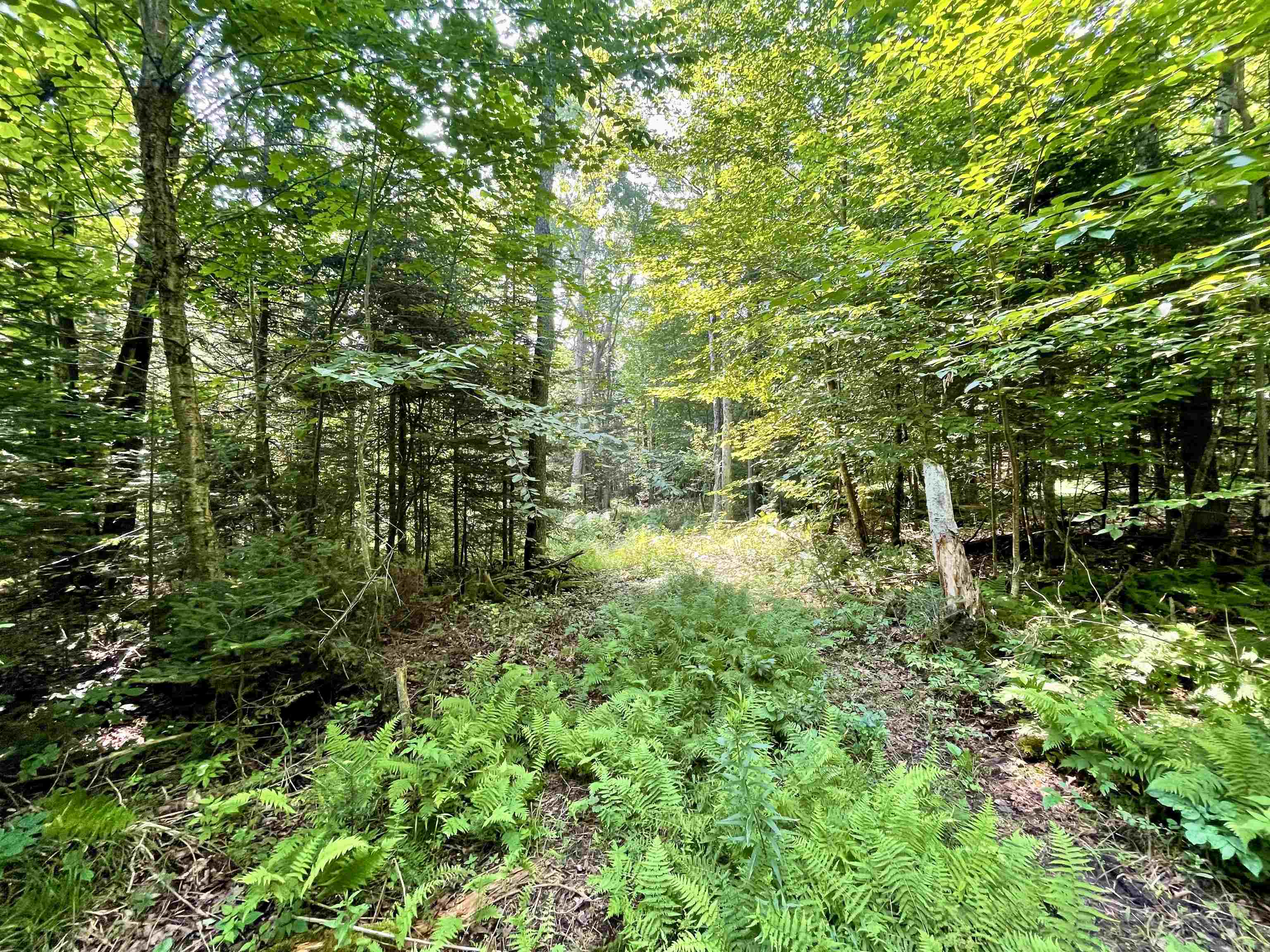 Homes for sale in Westmore, VT | 00 Peene Hill Rd, Westmore, VT 05822 | MLS# 5053659