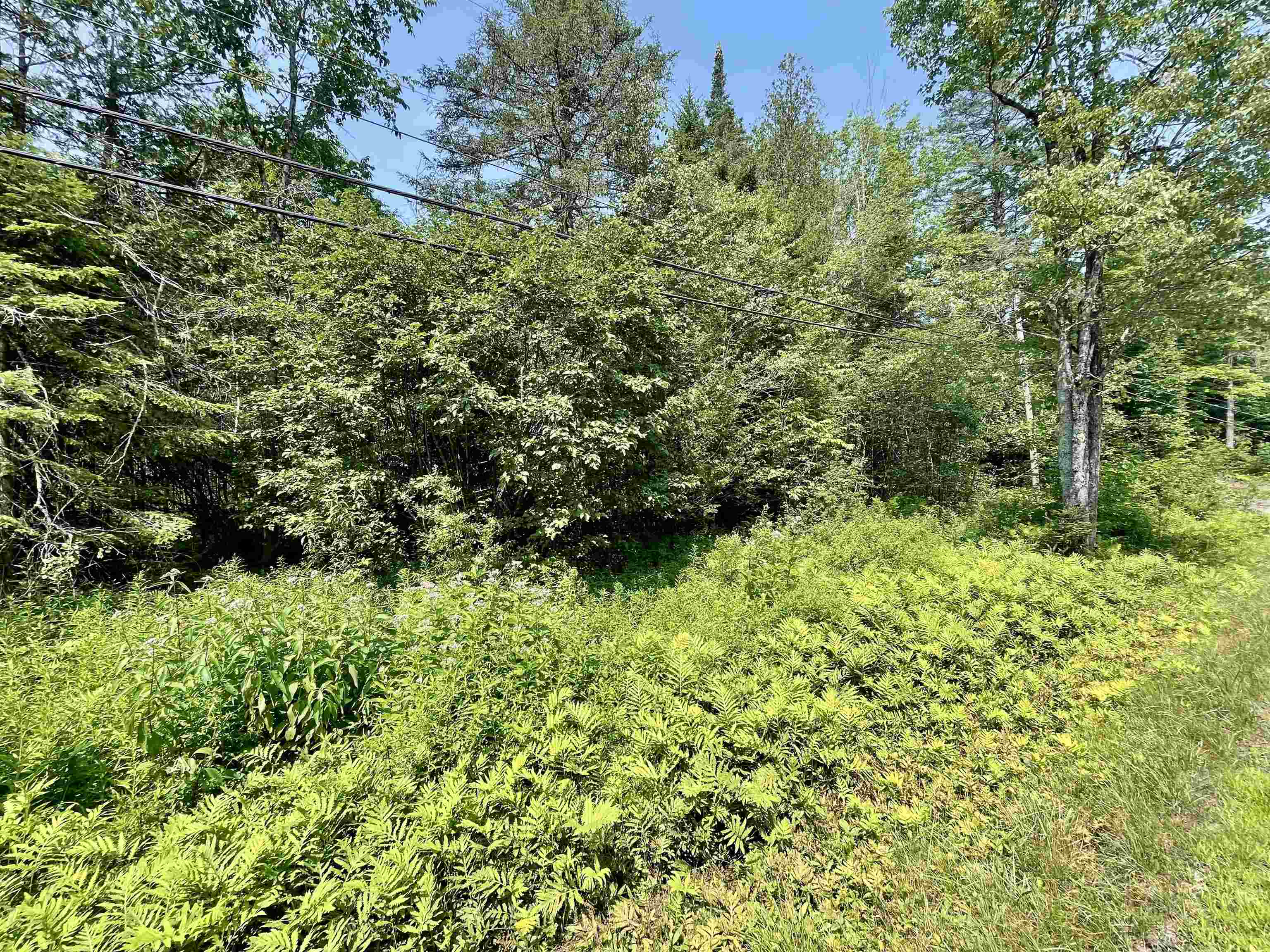 Homes for sale in Westmore, VT | 00 Peene Hill Rd, Westmore, VT 05822 | MLS# 5053659