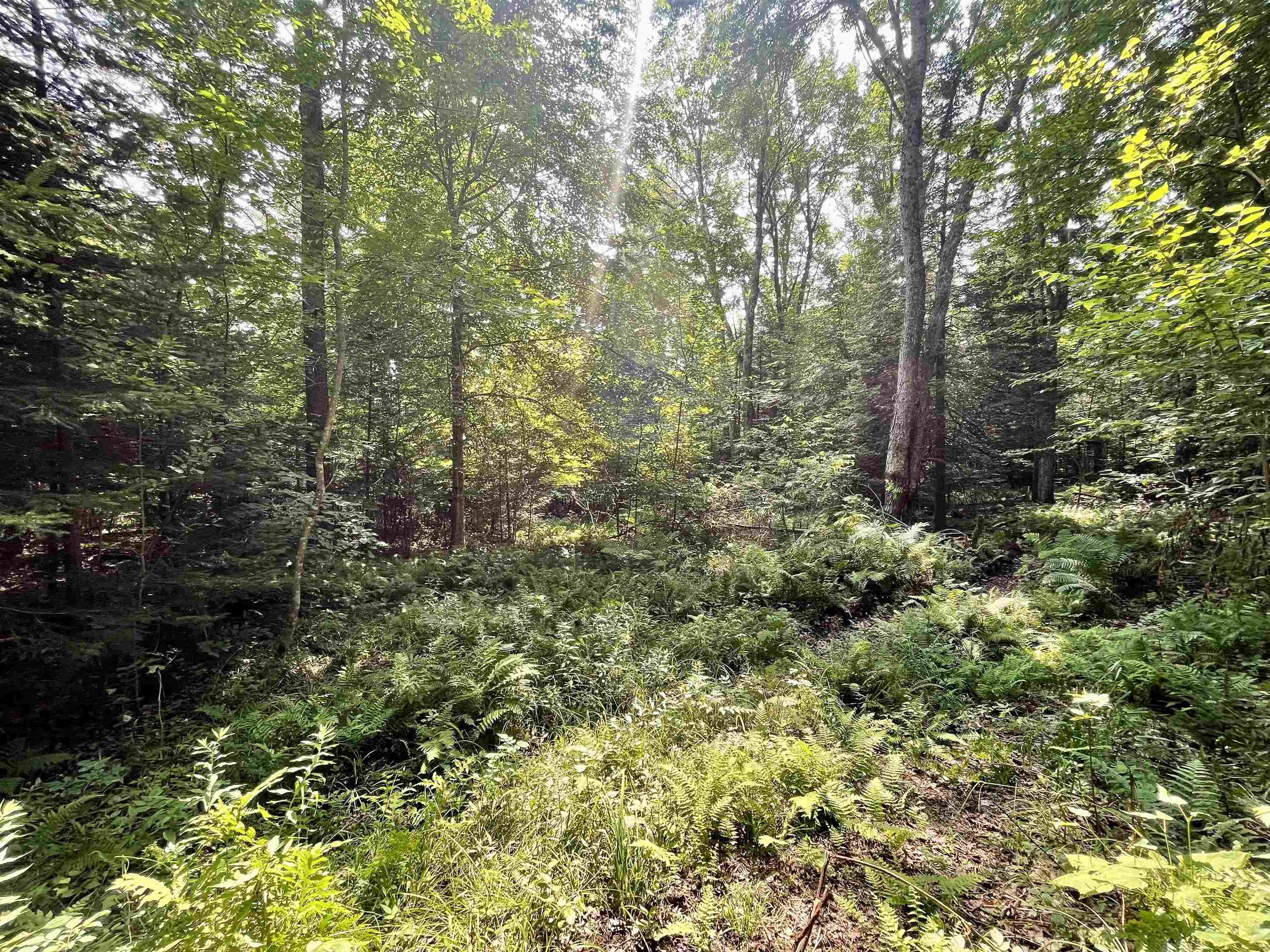 Homes for sale in Westmore, VT | 00 Peene Hill Rd, Westmore, VT 05822 | MLS# 5053659