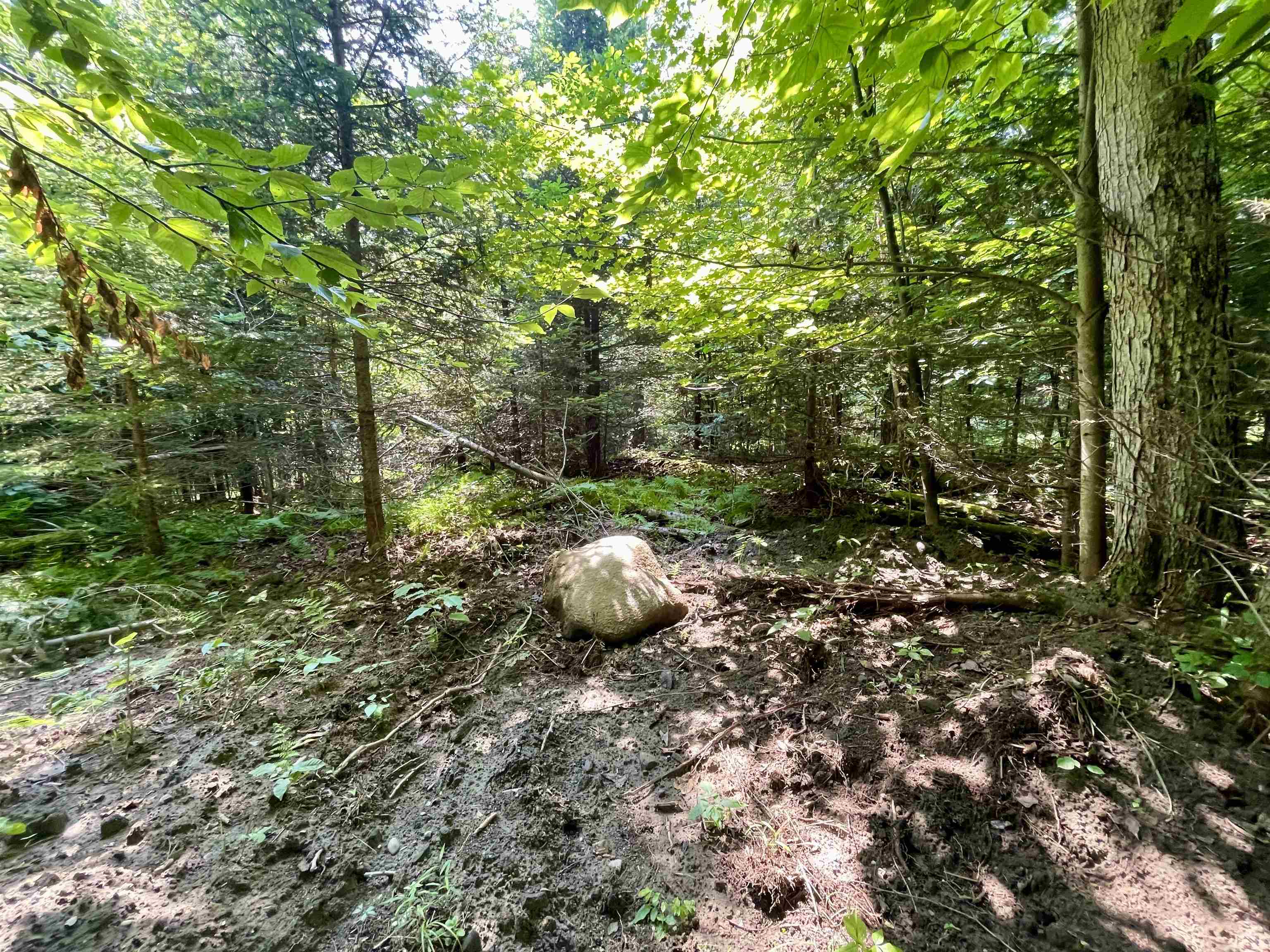 Homes for sale in Westmore, VT | 00 Peene Hill Rd, Westmore, VT 05822 | MLS# 5053659