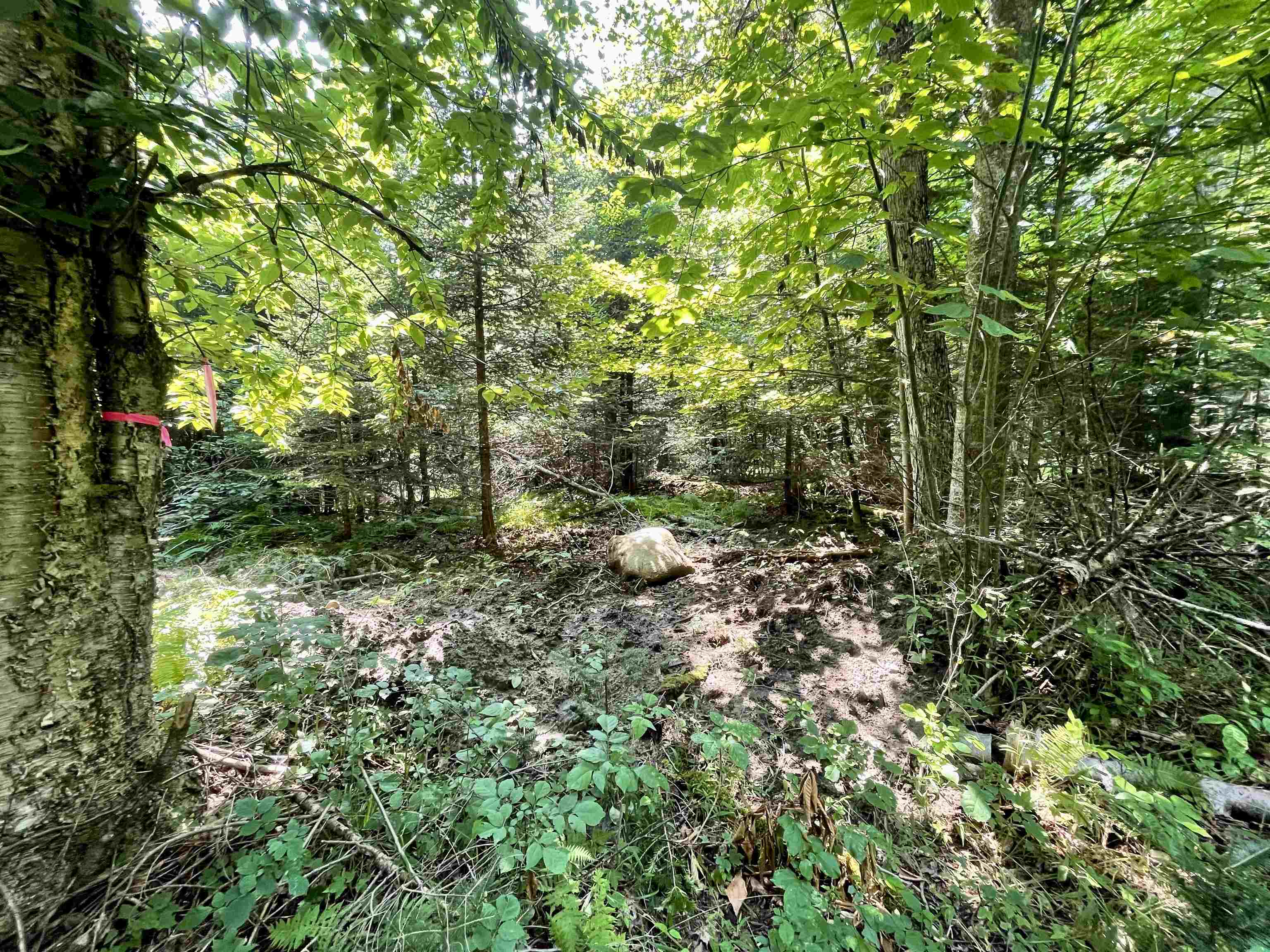 Homes for sale in Westmore, VT | 00 Peene Hill Rd, Westmore, VT 05822 | MLS# 5053659