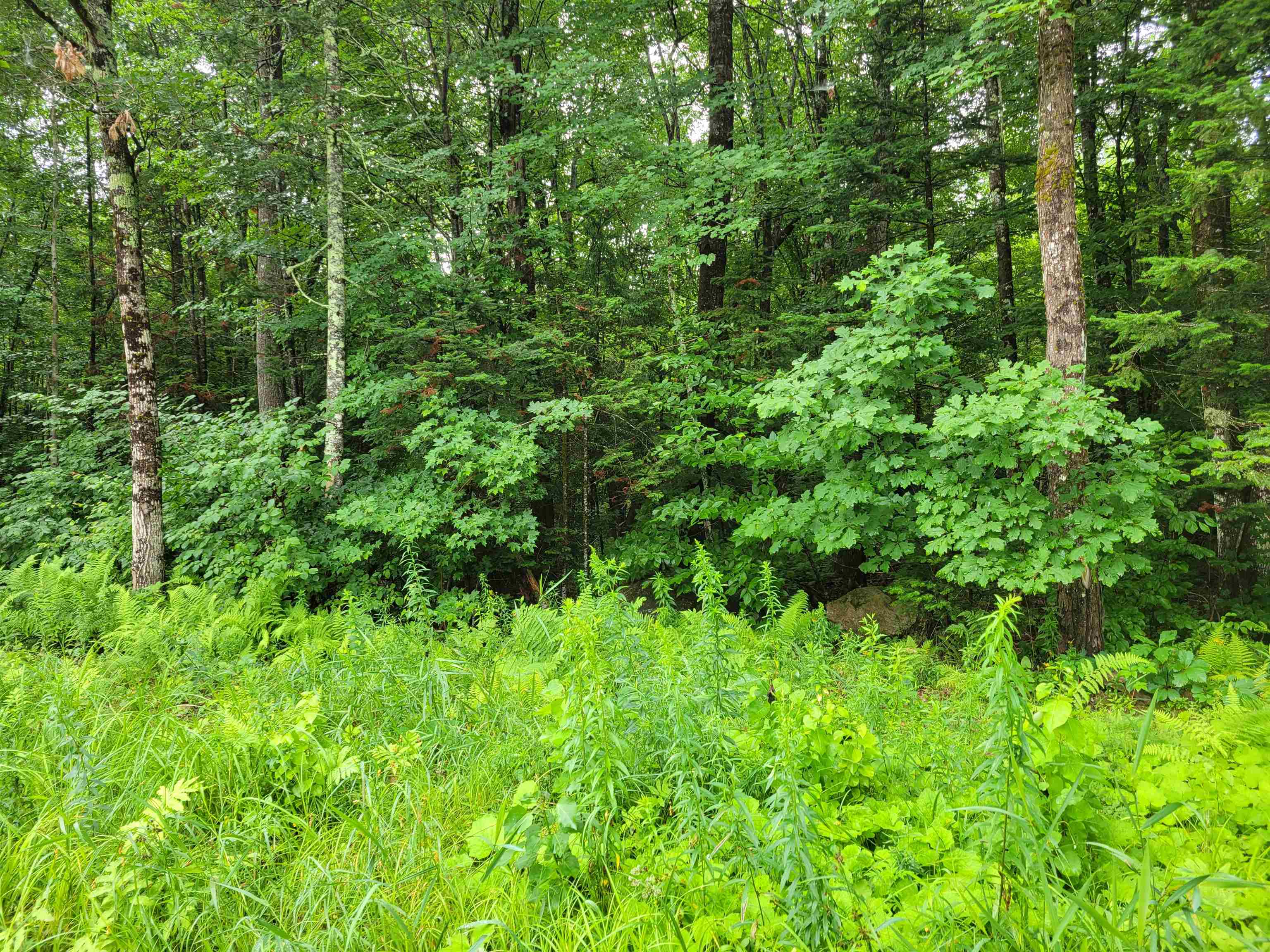 Homes for sale in Stow, ME | 0 Union Hill Rd, Stow, ME 04037 | MLS# 5053729