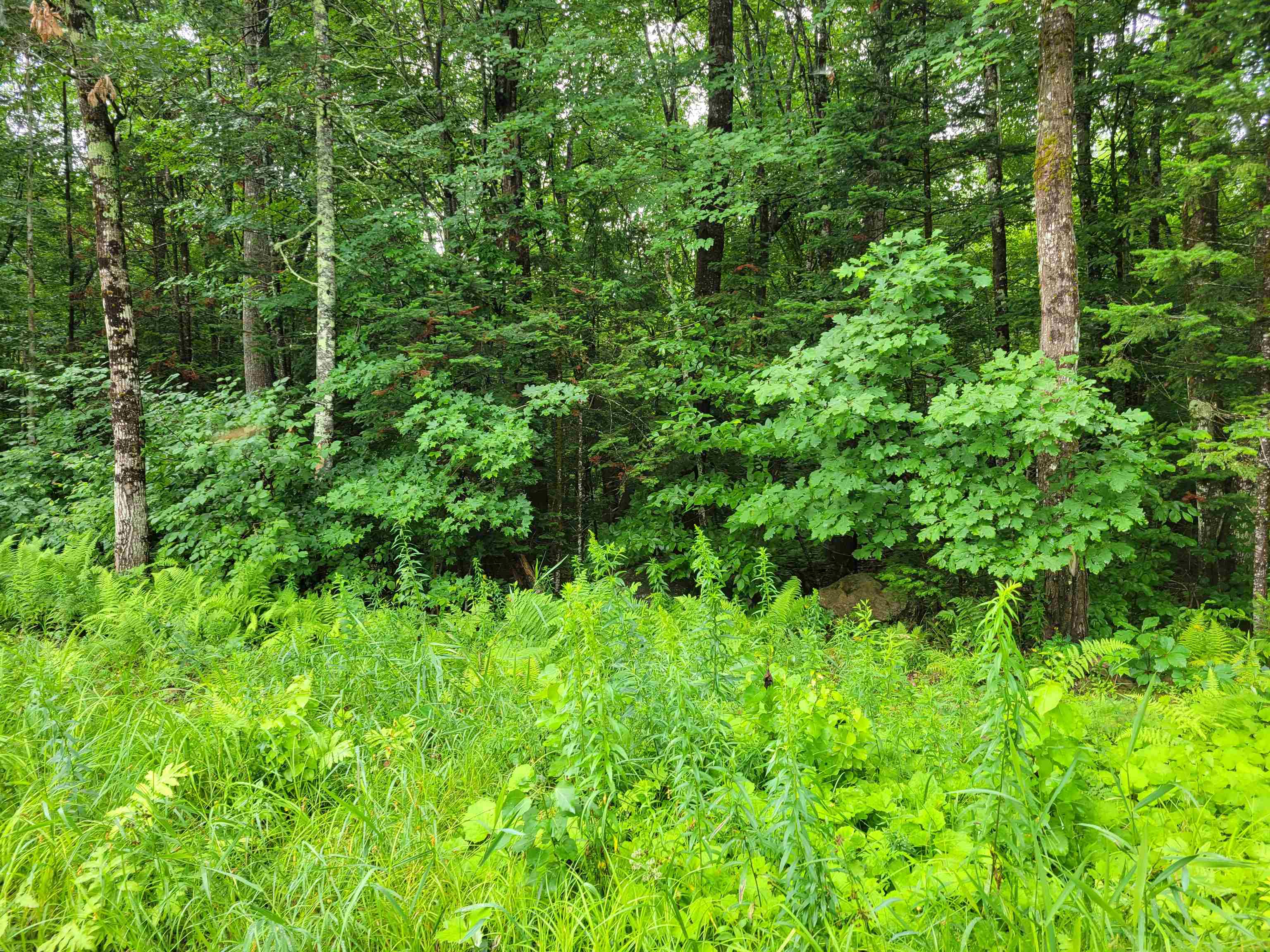 Homes for sale in Stow, ME | 0 Union Hill Rd, Stow, ME 04037 | MLS# 5053729