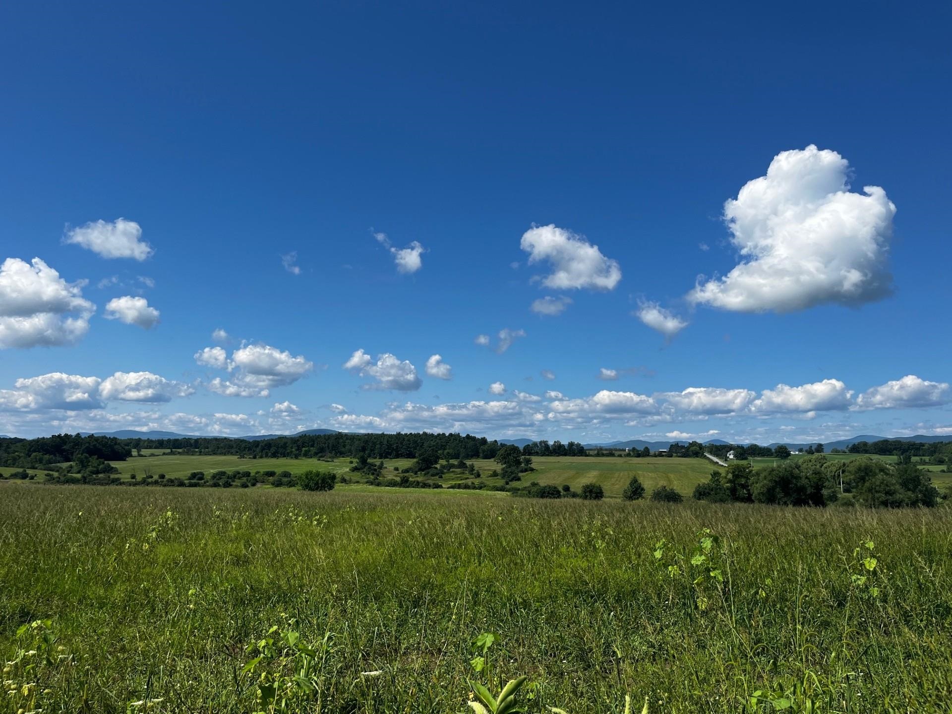 Homes for sale in Bridport, VT | 1650 Crown Point Rd, Bridport, VT 05734 | MLS# 5053743