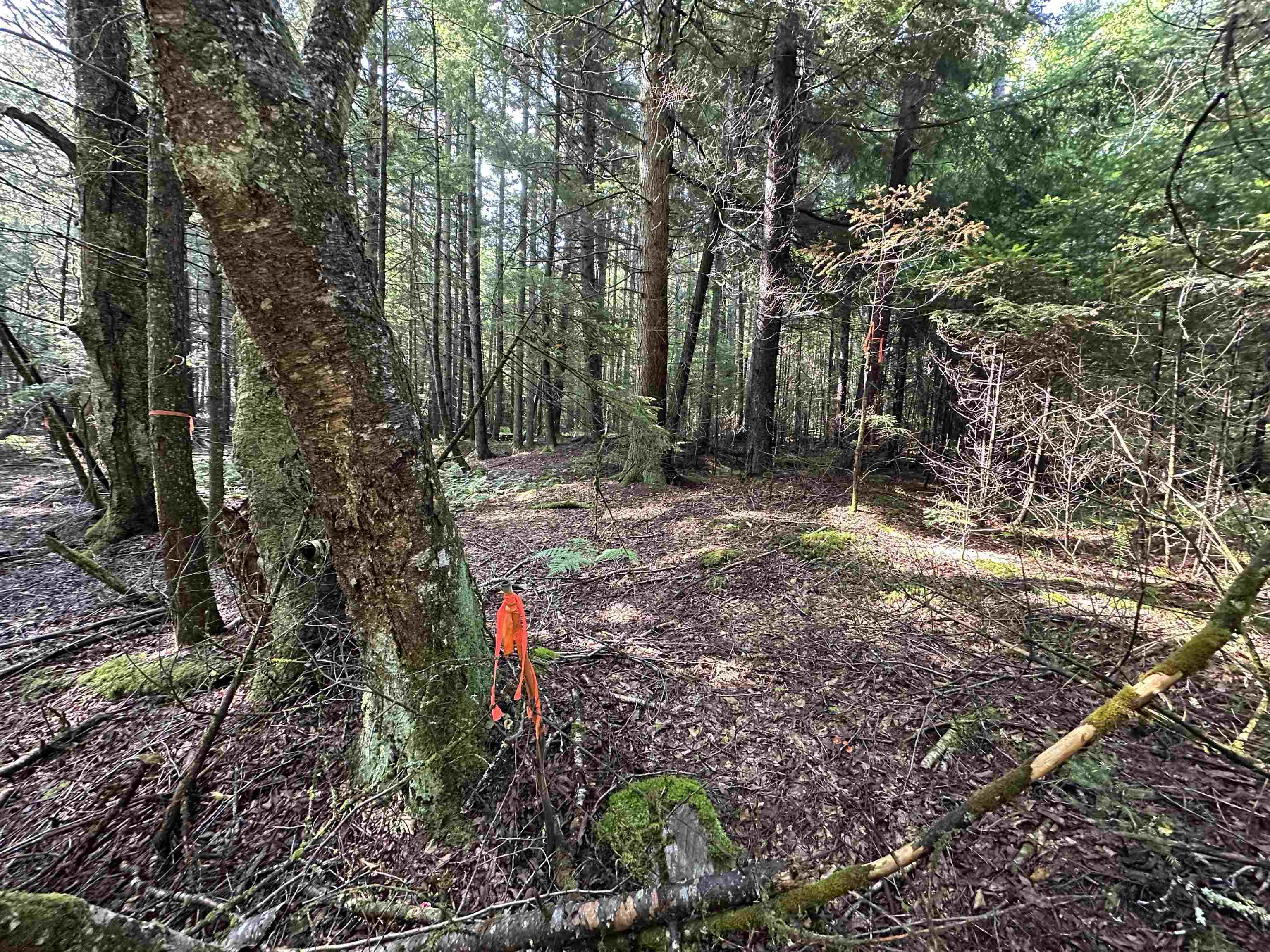 Homes for sale in Wolcott, VT | 00 Elmore Pond Rd, Wolcott, VT 05680 | MLS# 5053761