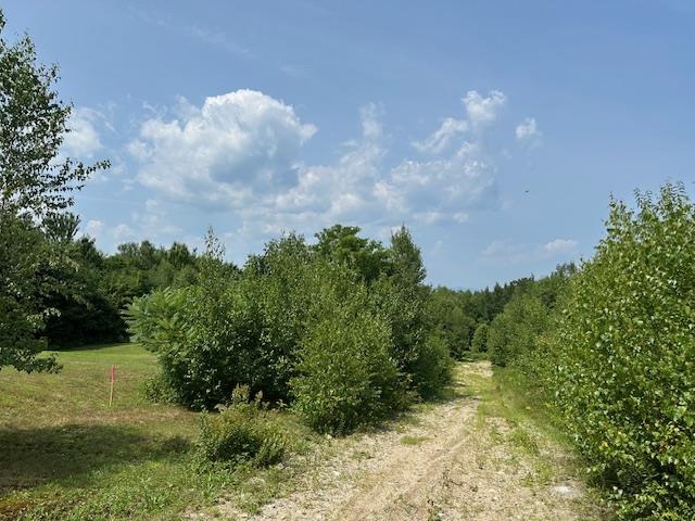 Homes for sale in Conway, NH | 00 Brownfield Rd, Conway, NH 03813 | MLS# 5053774