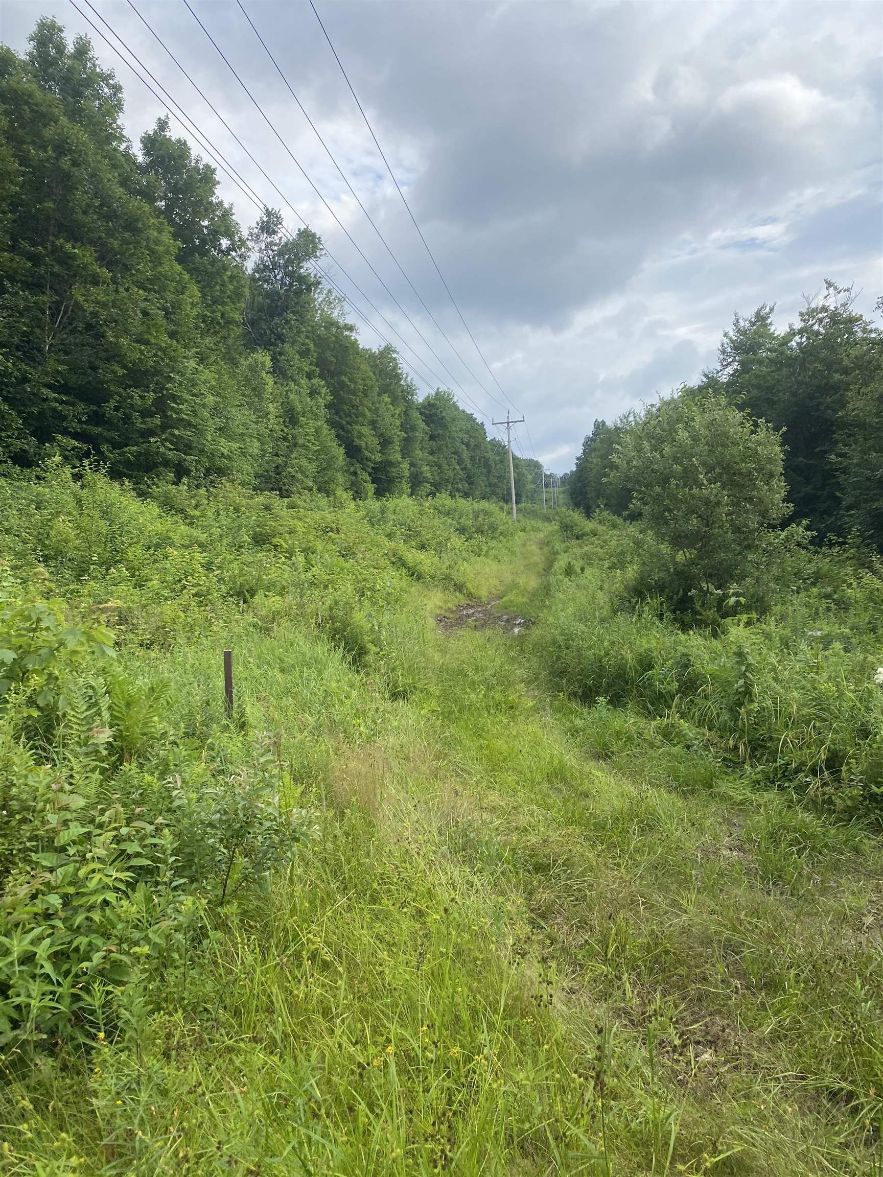 Homes for sale in Jay, VT | 0 Maple St, Jay, VT 05859 | MLS# 5053782