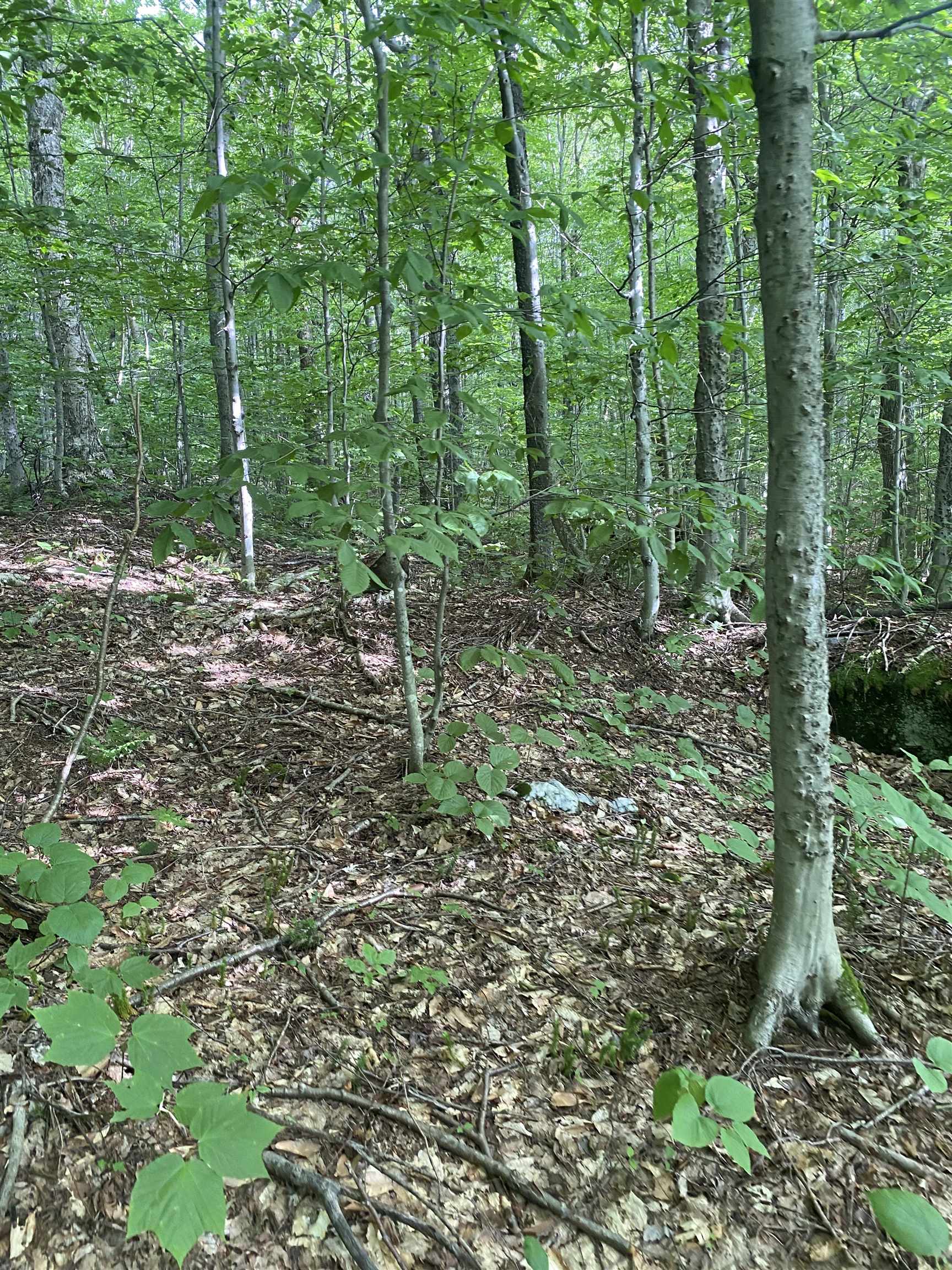 Homes for sale in Jay, VT | 0 Maple St, Jay, VT 05859 | MLS# 5053782