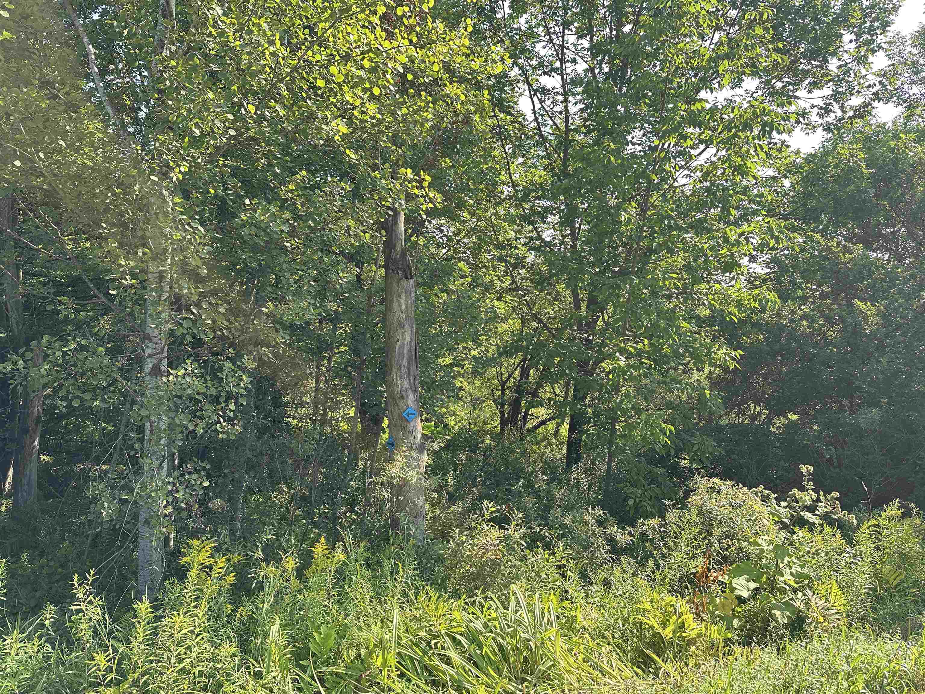 Homes for sale in Wolcott, VT | 002 Elmore Pond Rd, Wolcott, VT 05680 | MLS# 5053790