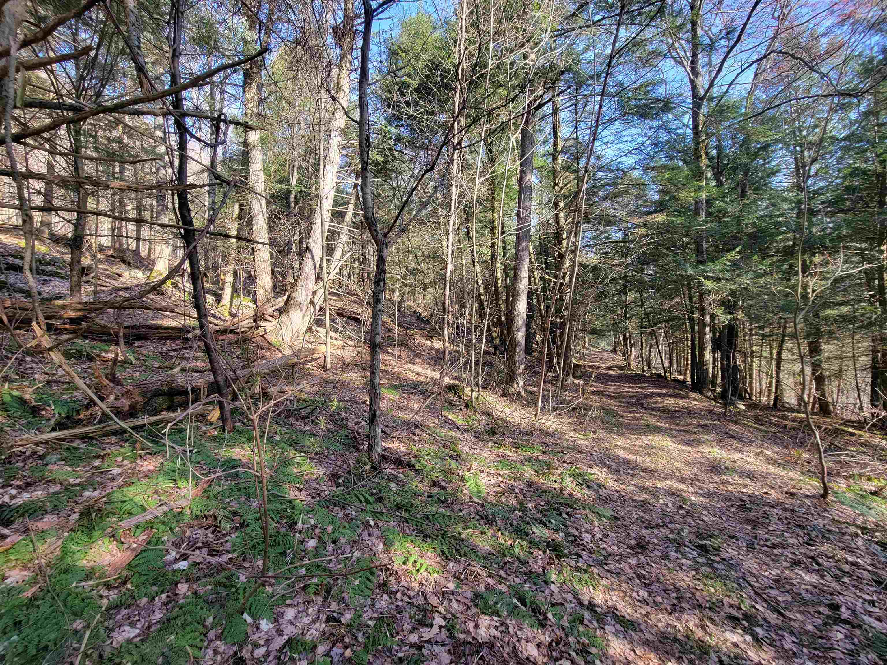 Homes for sale in Monkton, VT | 1890 Bristol Rd, Monkton, VT 05469 | MLS# 5053814