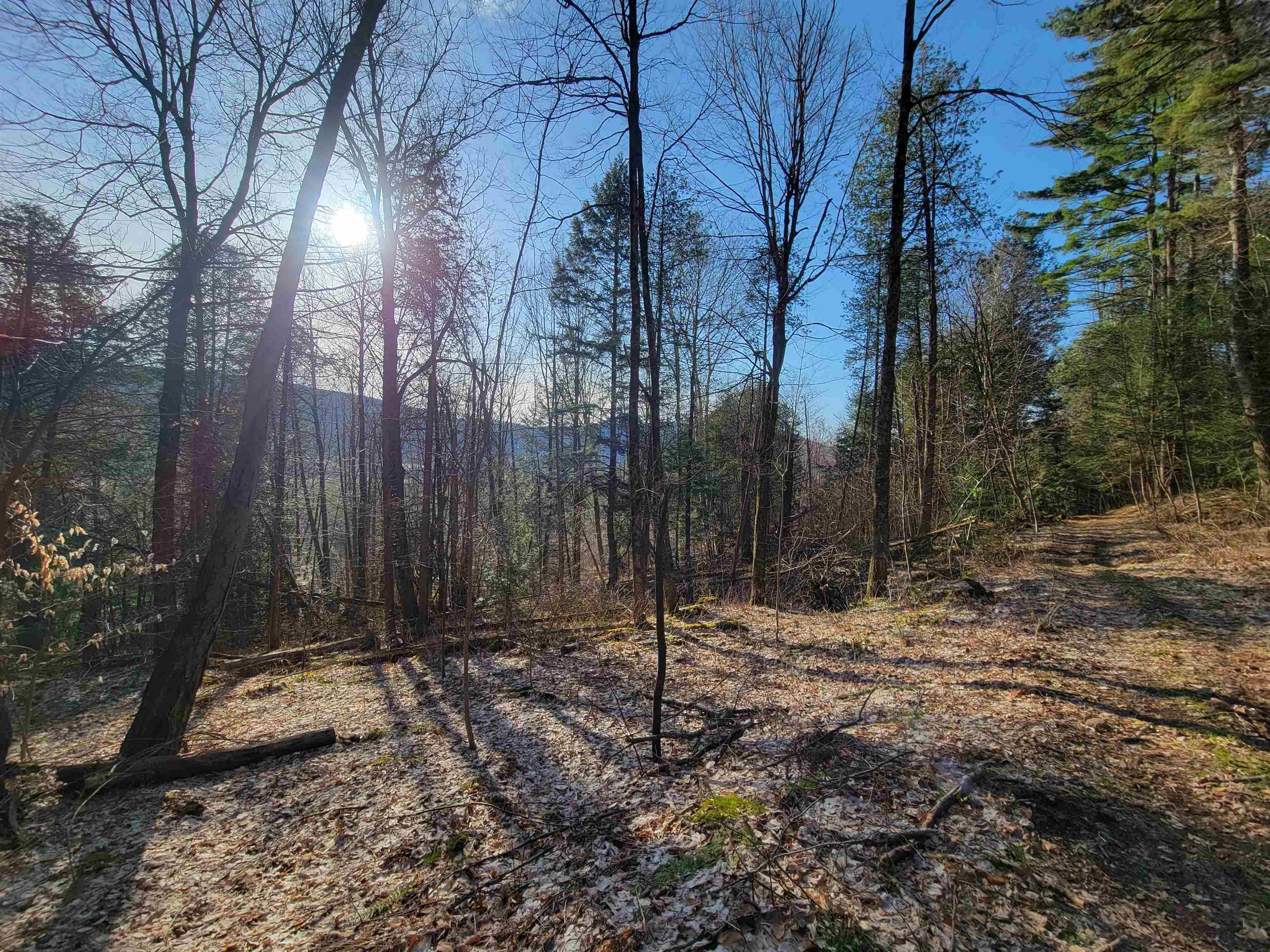 Homes for sale in Monkton, VT | 1890 A Bristol Rd, Monkton, VT 05469 | MLS# 5053815