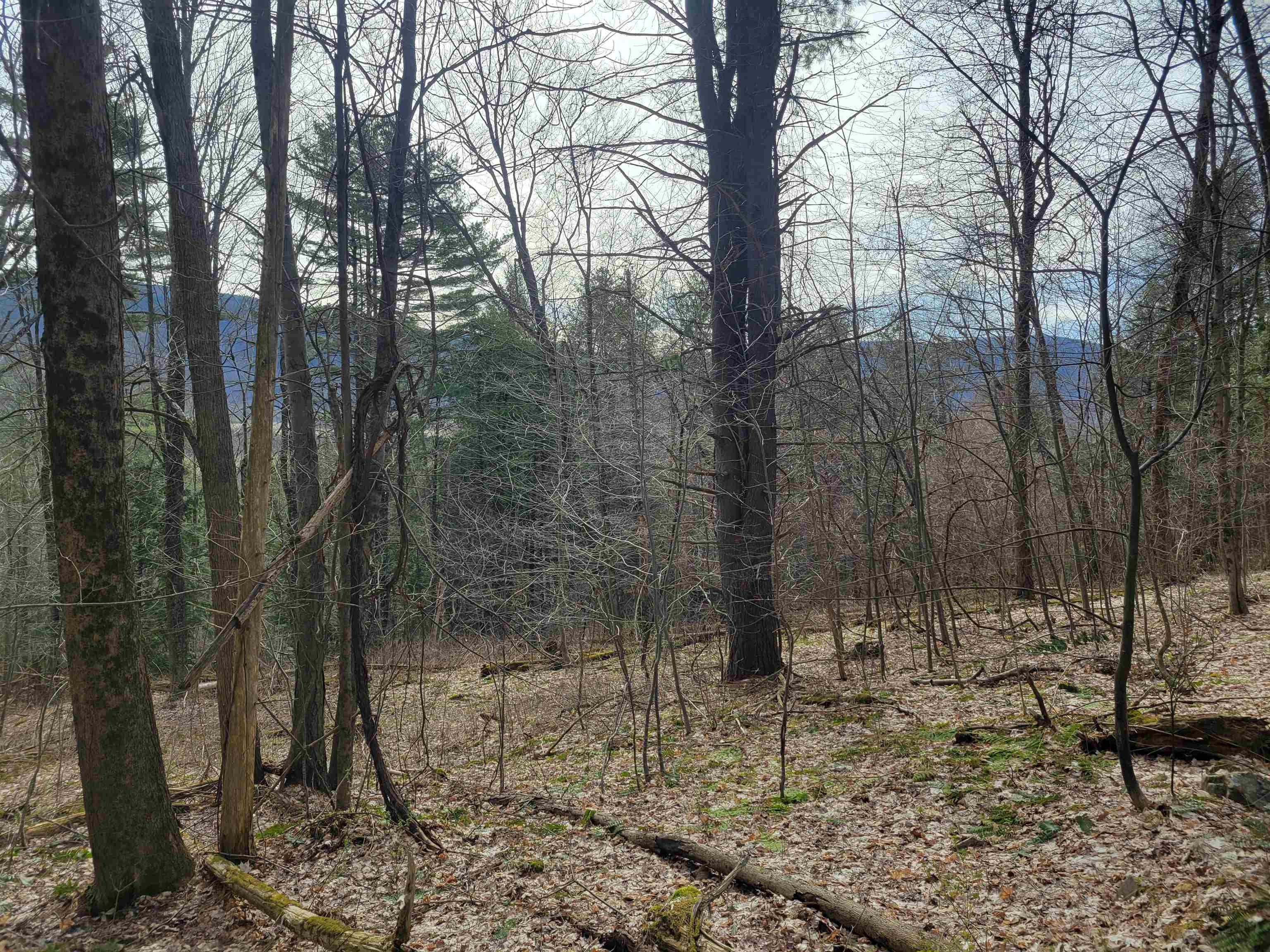 Homes for sale in Monkton, VT | 1890 B Bristol Rd, Monkton, VT 05469 | MLS# 5053817