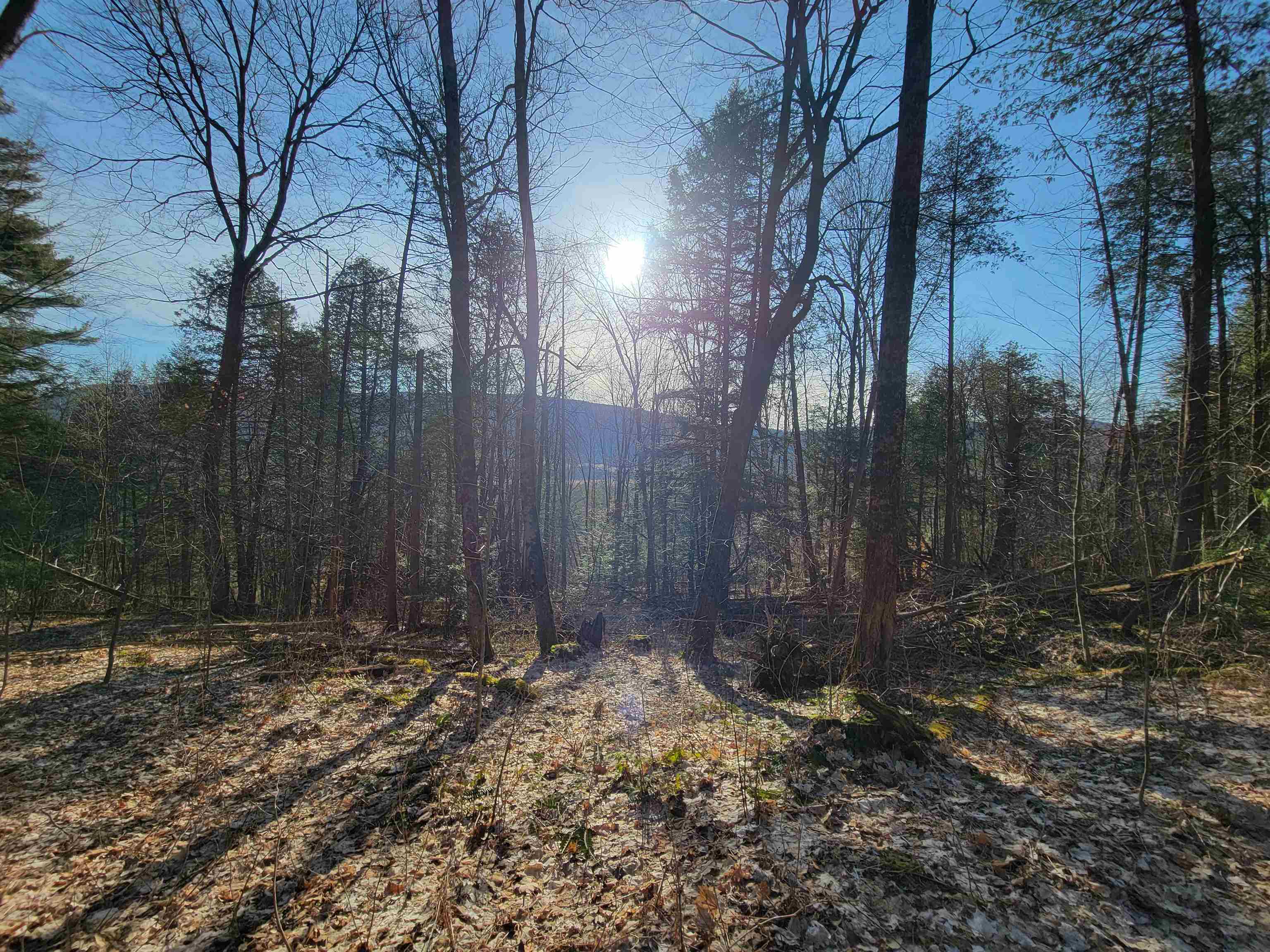 Homes for sale in Monkton, VT | 1890-B Bristol Rd, Monkton, VT 05469 | MLS# 5053817