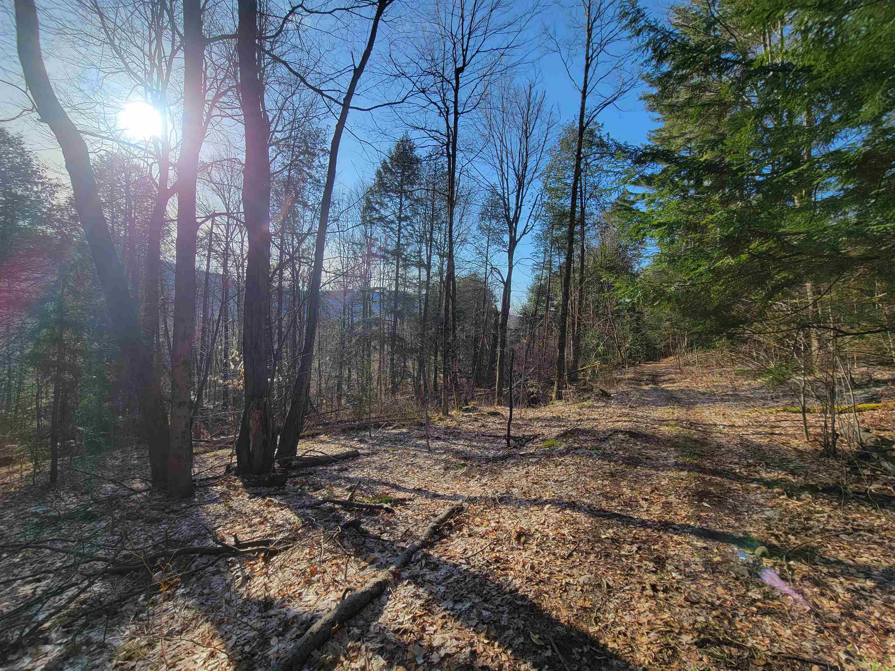 Homes for sale in Monkton, VT | 1890-B Bristol Rd, Monkton, VT 05469 | MLS# 5053817