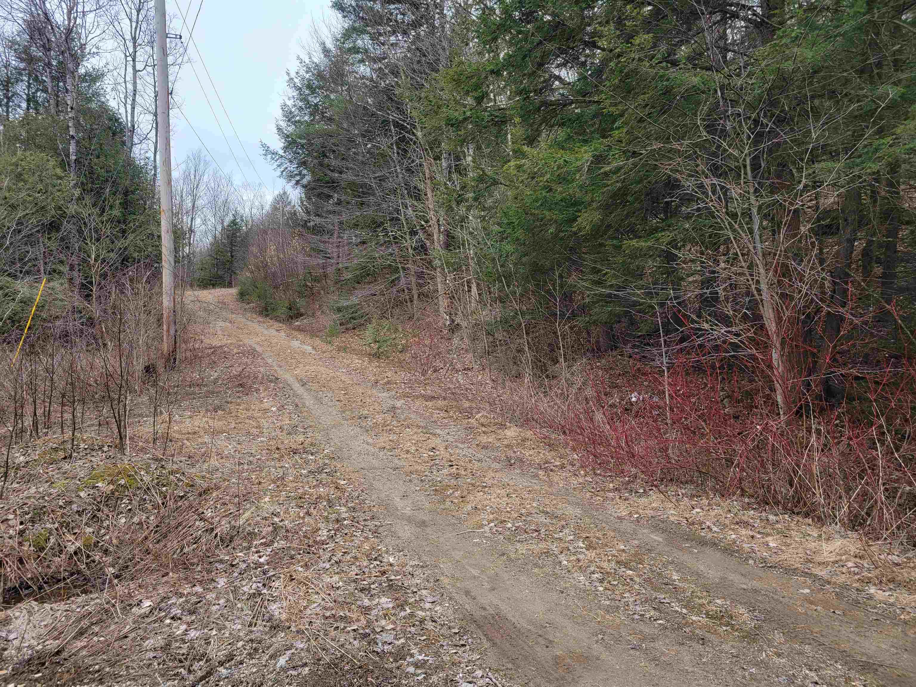 Homes for sale in Monkton, VT | 1890-B Bristol Rd, Monkton, VT 05469 | MLS# 5053817