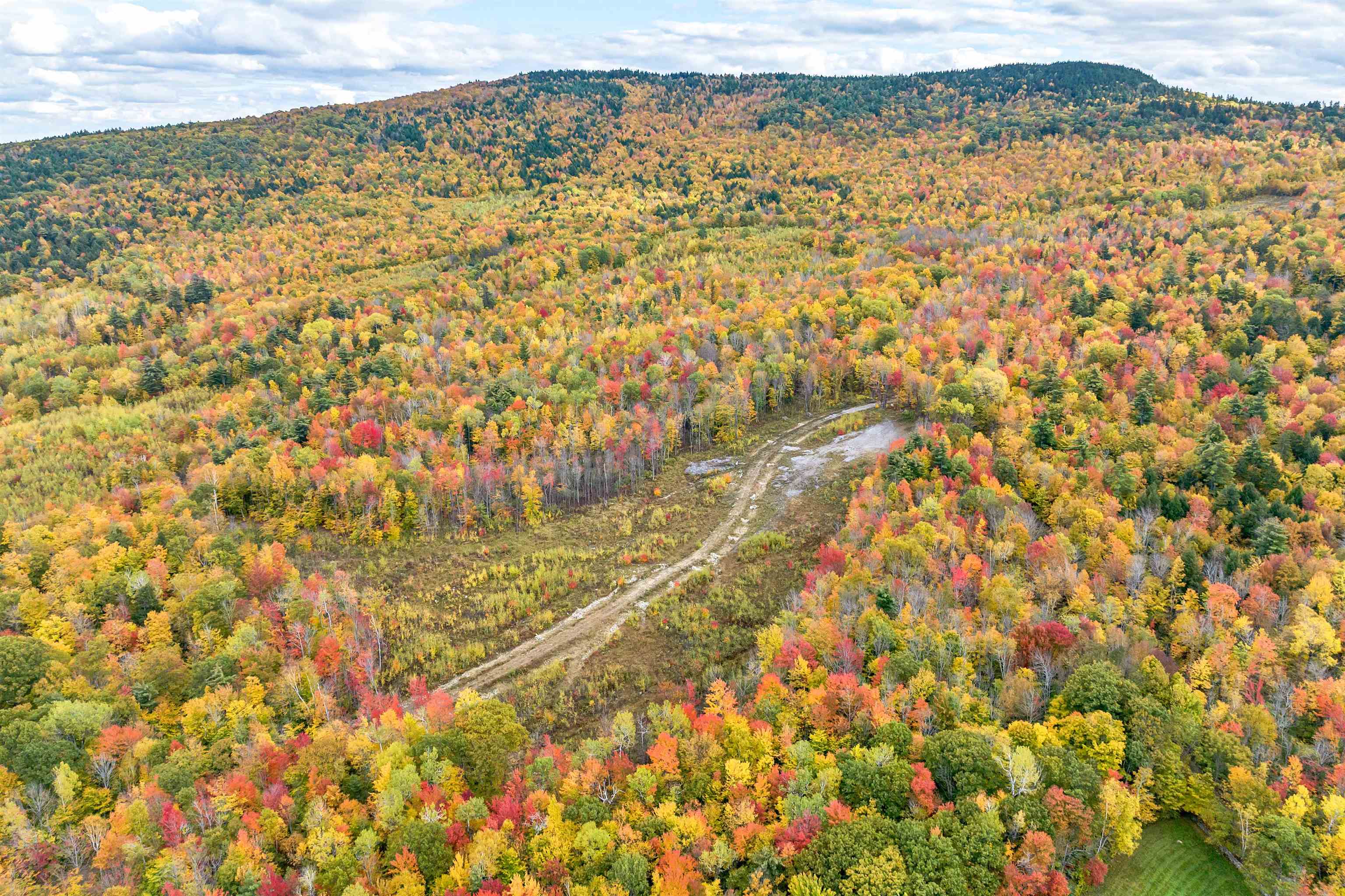 MLS #5053833 image #4