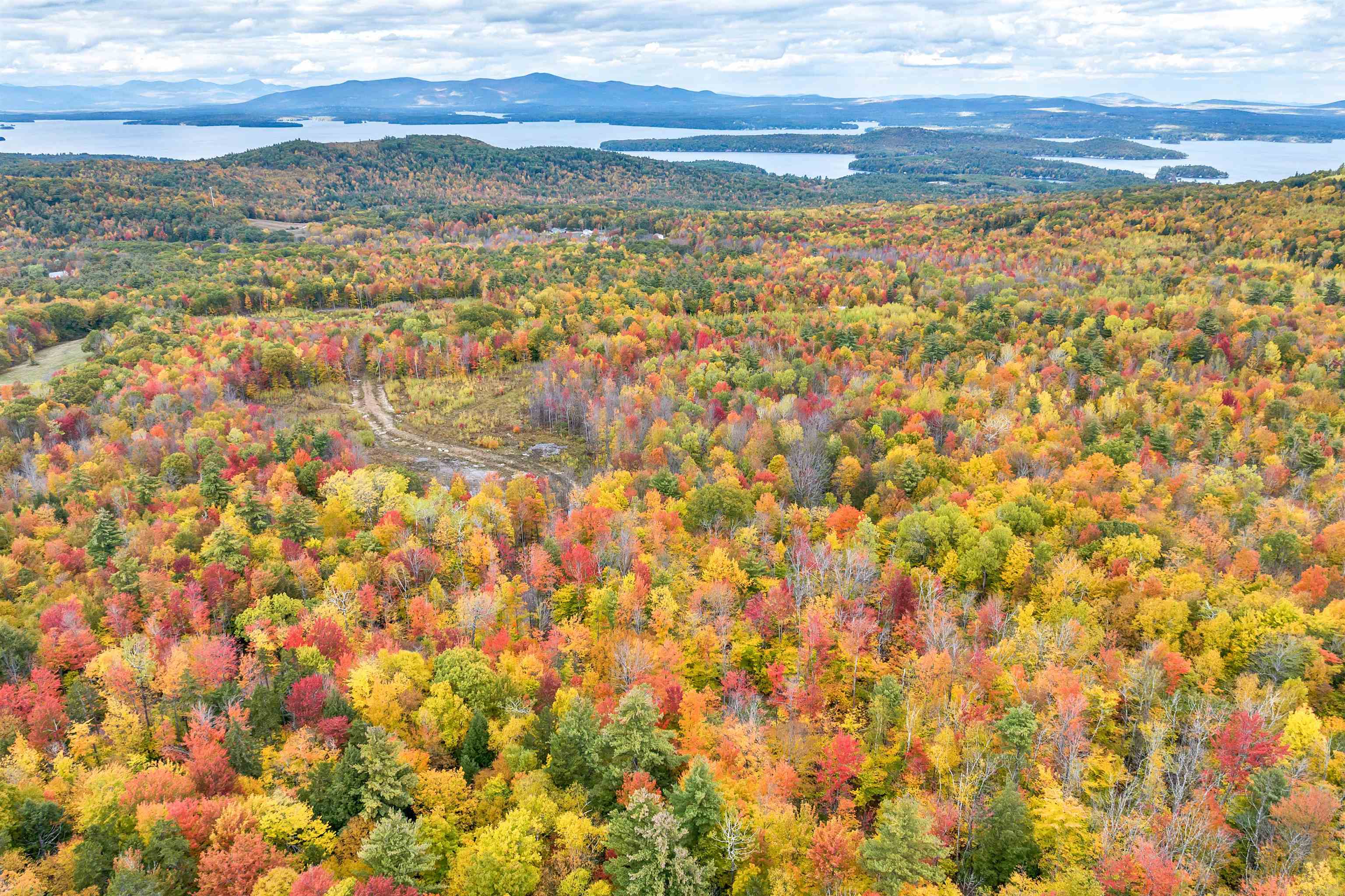 MLS #5053833 image #6