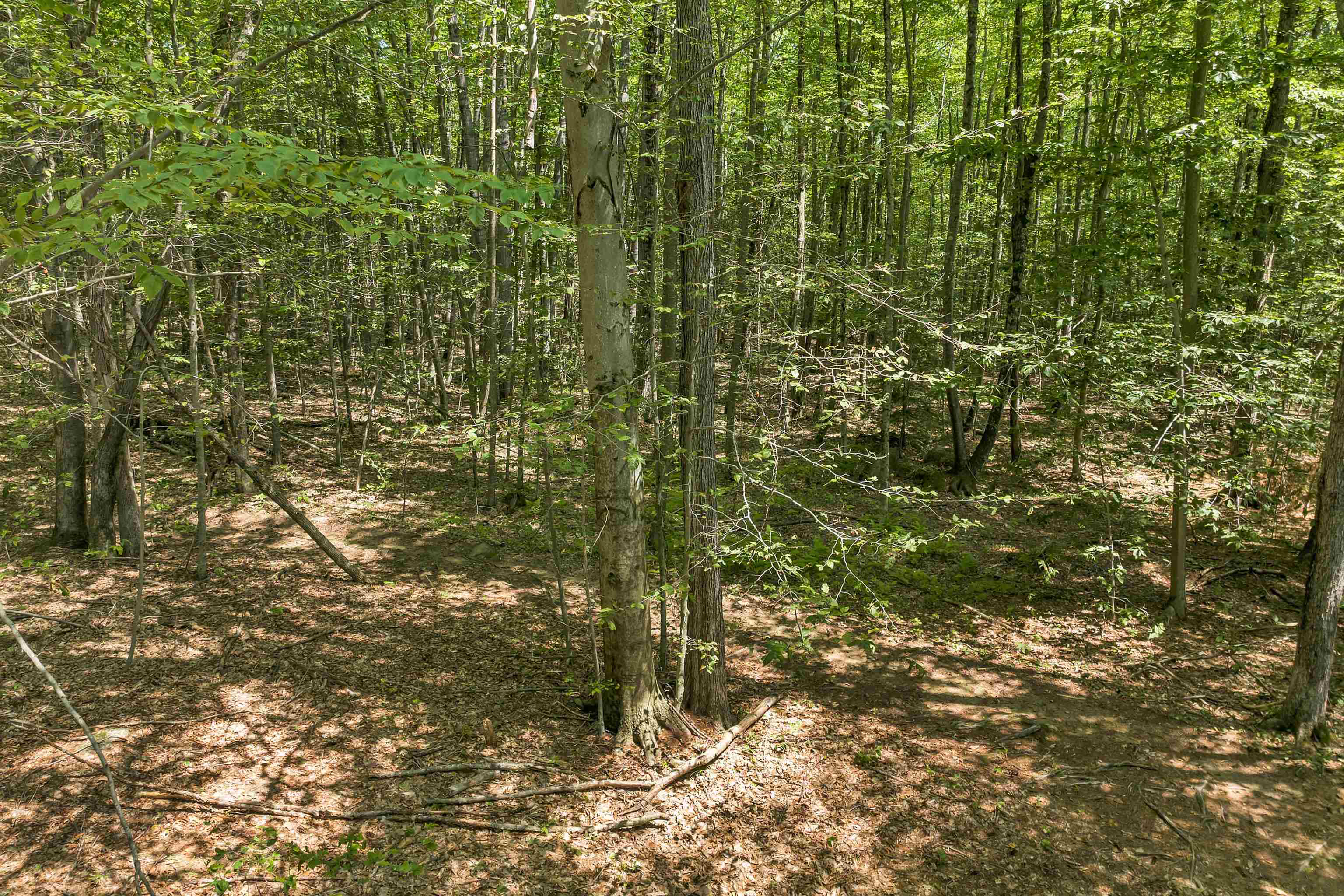 Homes for sale in Weare, NH | 101-125 Winslow Rd, Weare, NH 03281 | MLS# 5053866