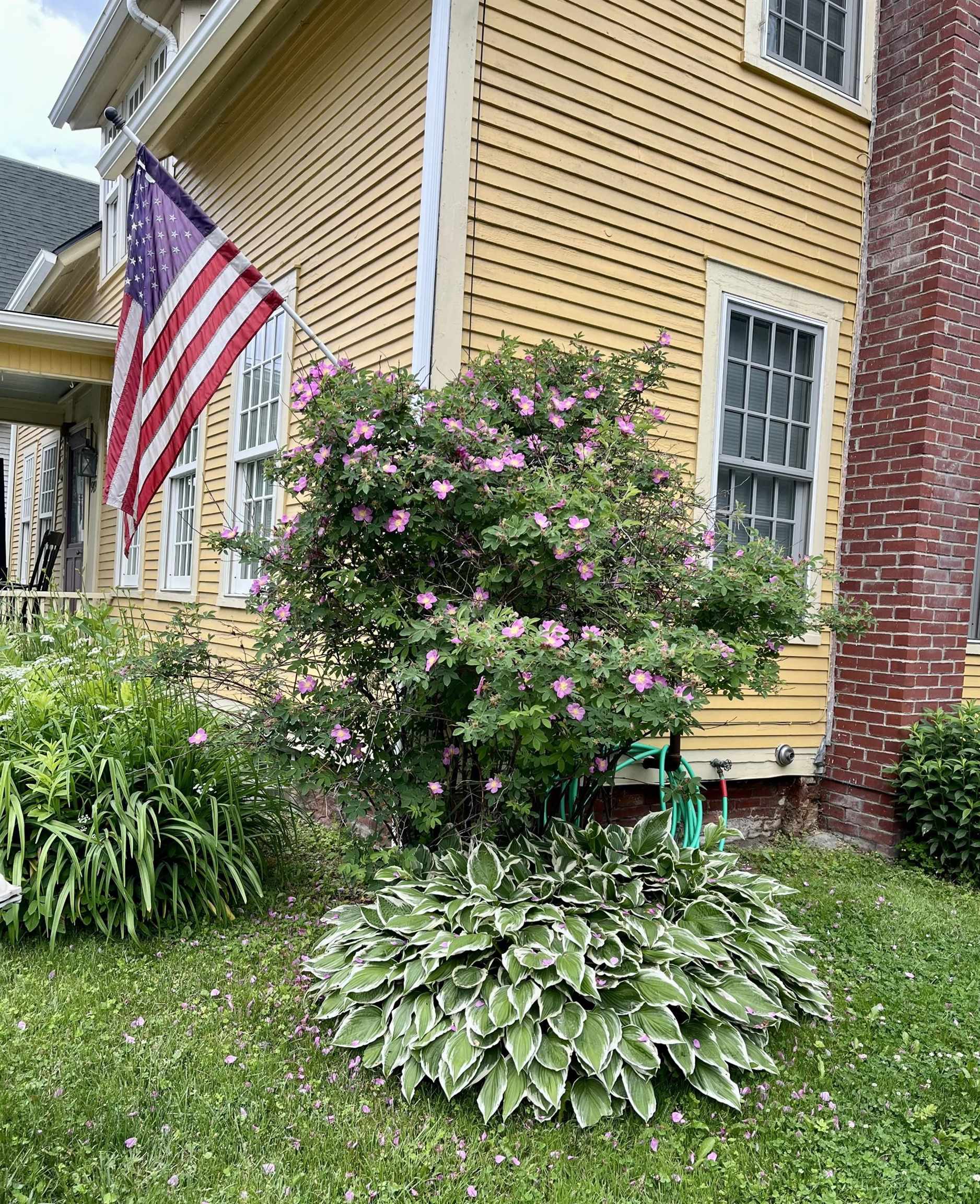 Beautiful Gardens Throughout