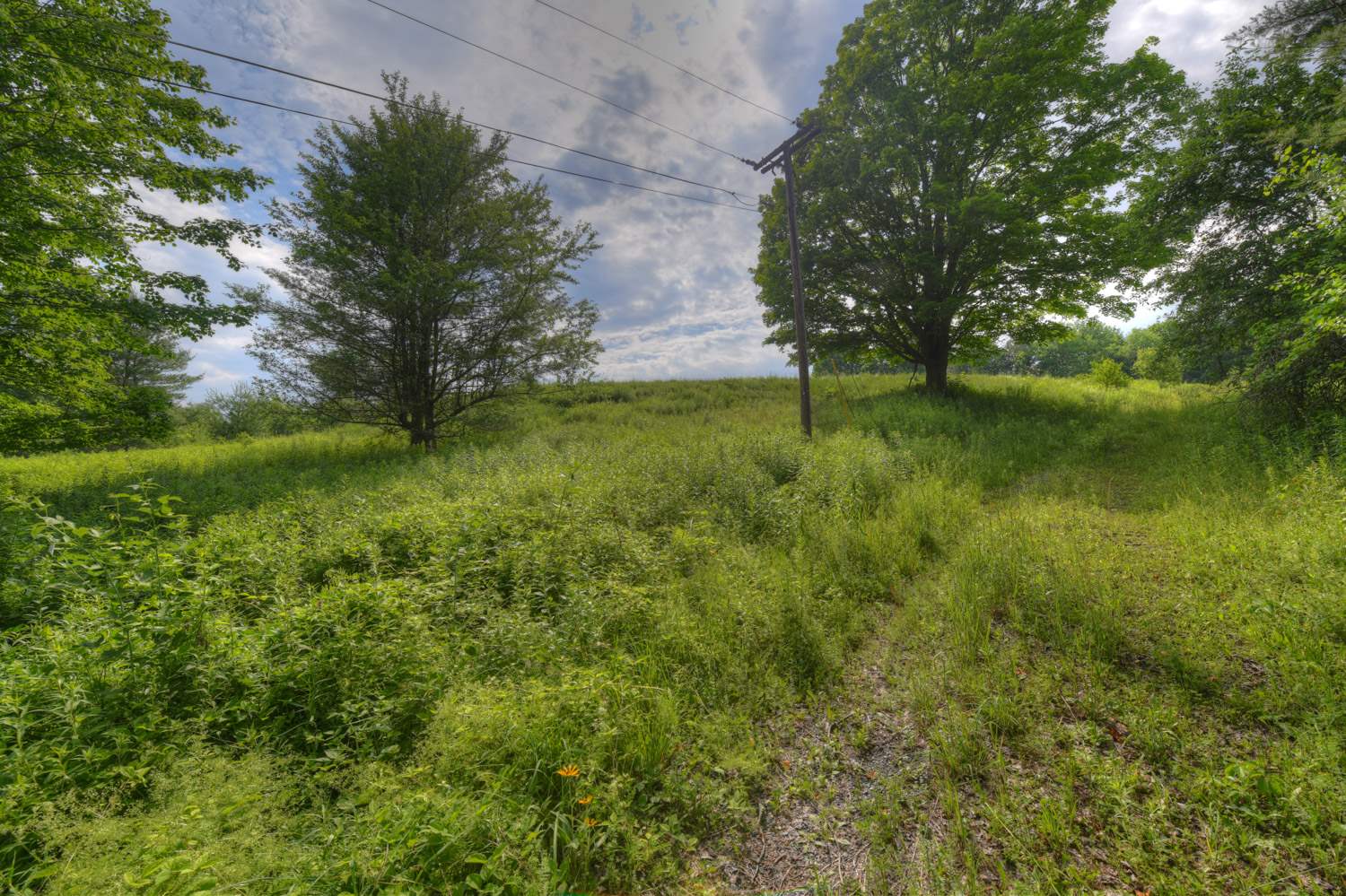 Homes for sale in Barre Town, VT | 120 Richardson Rd, Barre Town, VT 05641 | MLS# 5053880