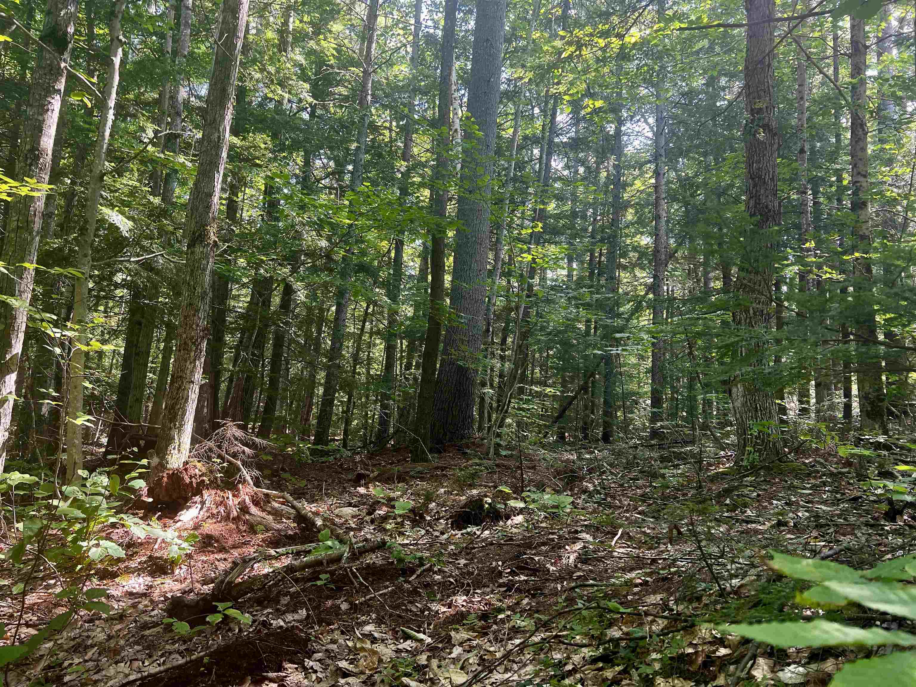 Homes for sale in Conway, NH | Landsdown Ln, Conway, NH 03818 | MLS# 5053942