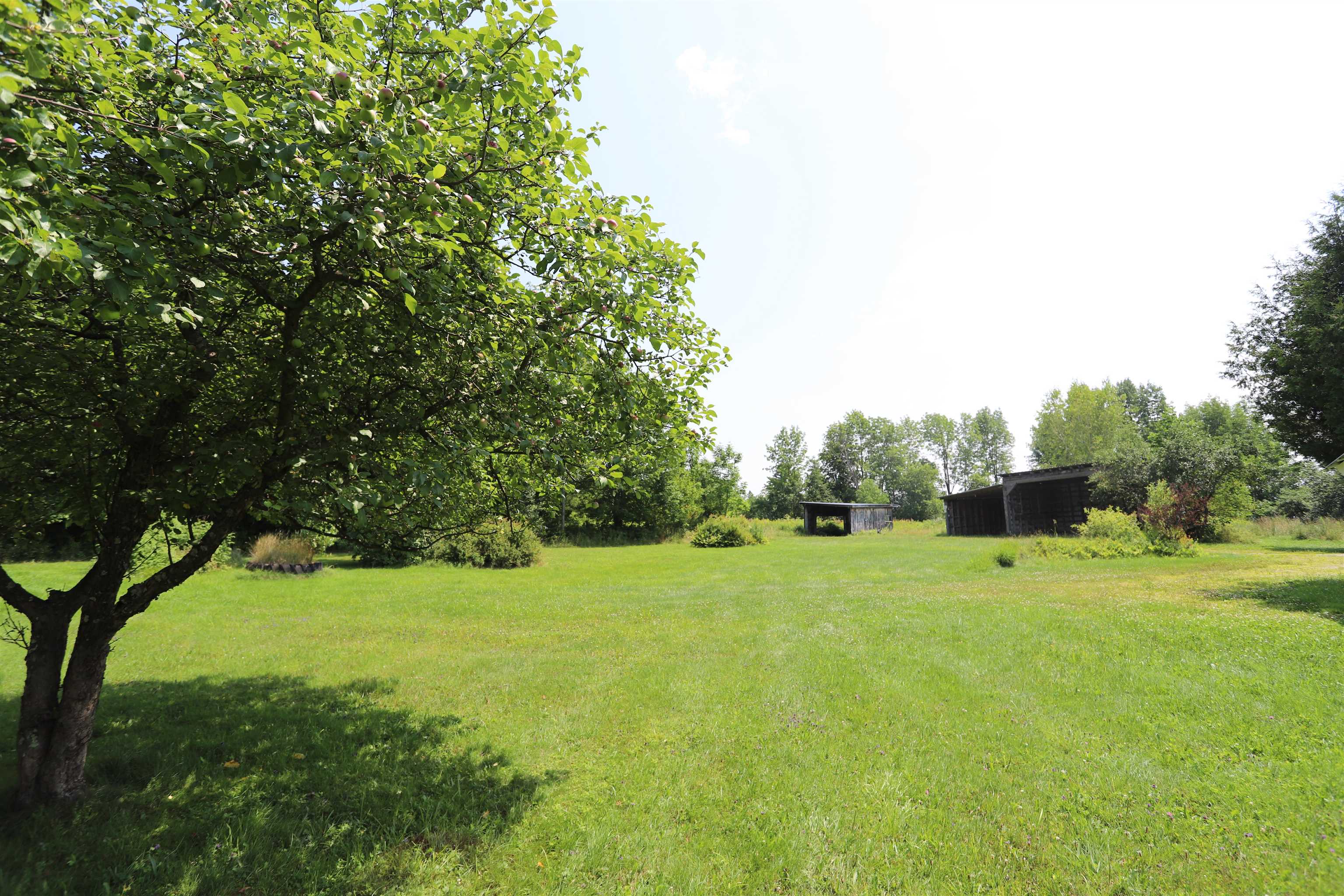 Homes for sale in Newport Town, VT | 374 Browns Hill Rd, Newport Town, VT 05857 | MLS# 5053959