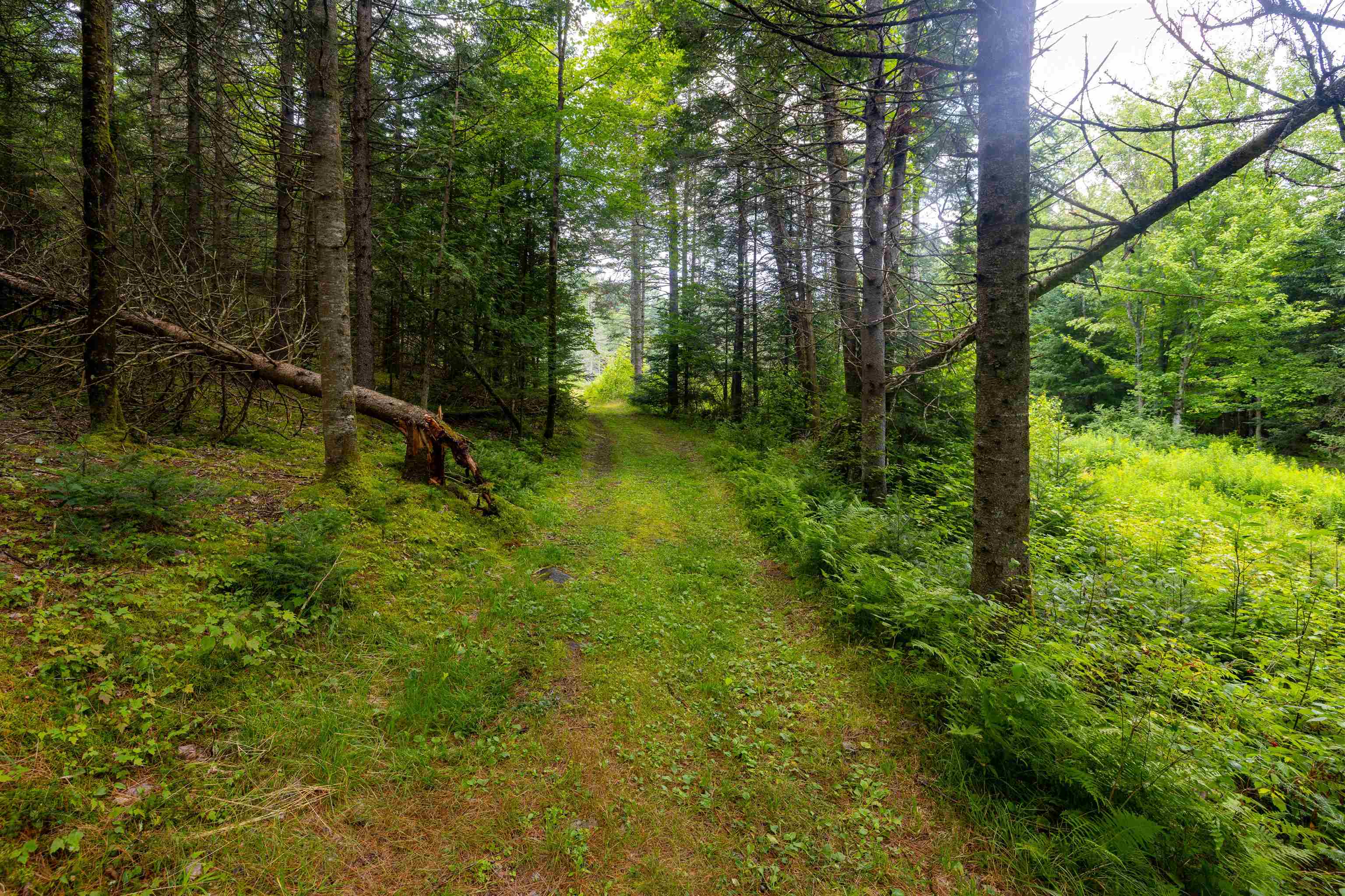 Homes for sale in Hardwick, VT | 1144 Center Rd, Hardwick, VT 05843 | MLS# 5054117