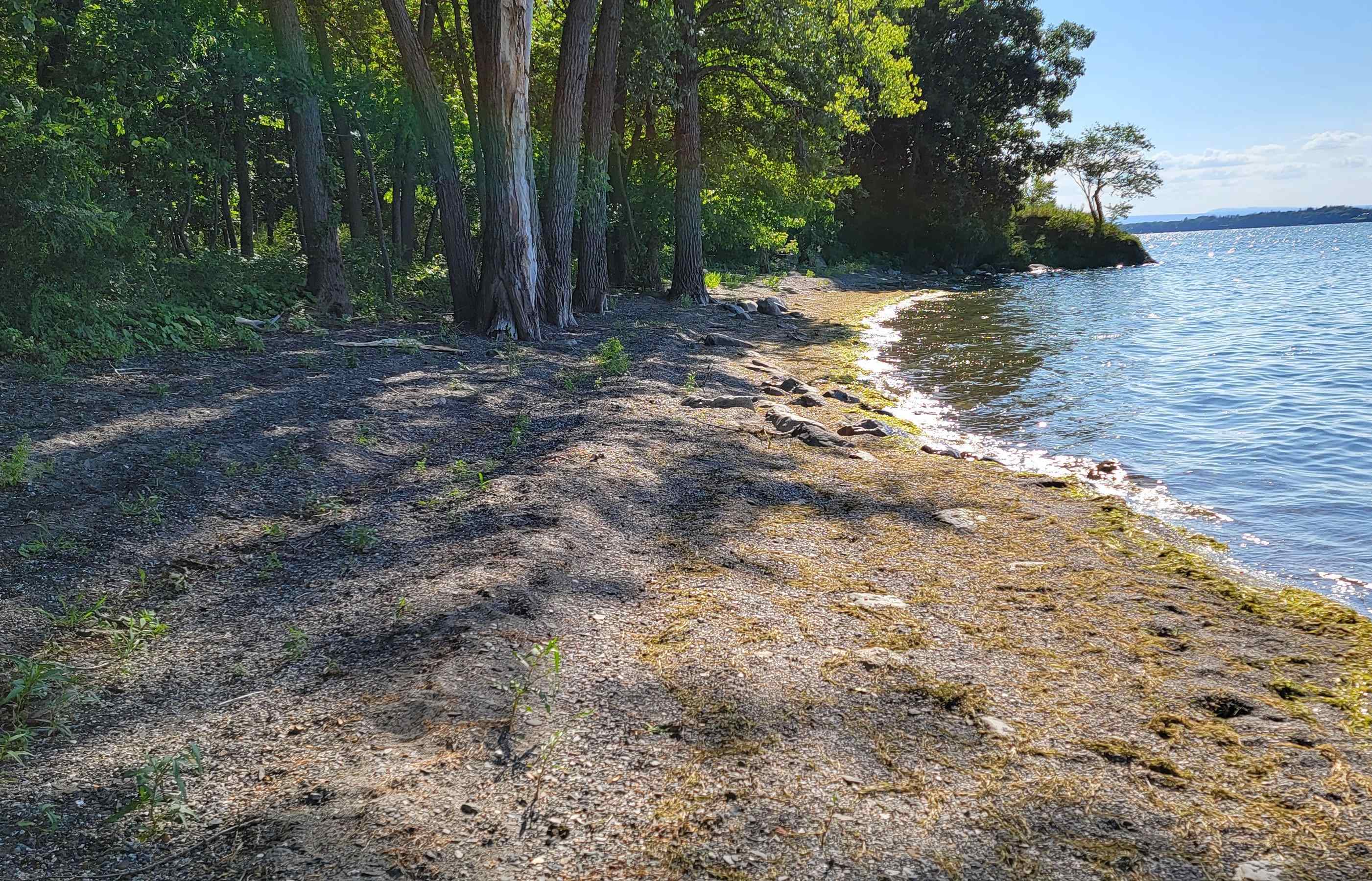 Homes for sale in North Hero, VT | 4300 Butler Island West, North Hero, VT 05474 | MLS# 5054333