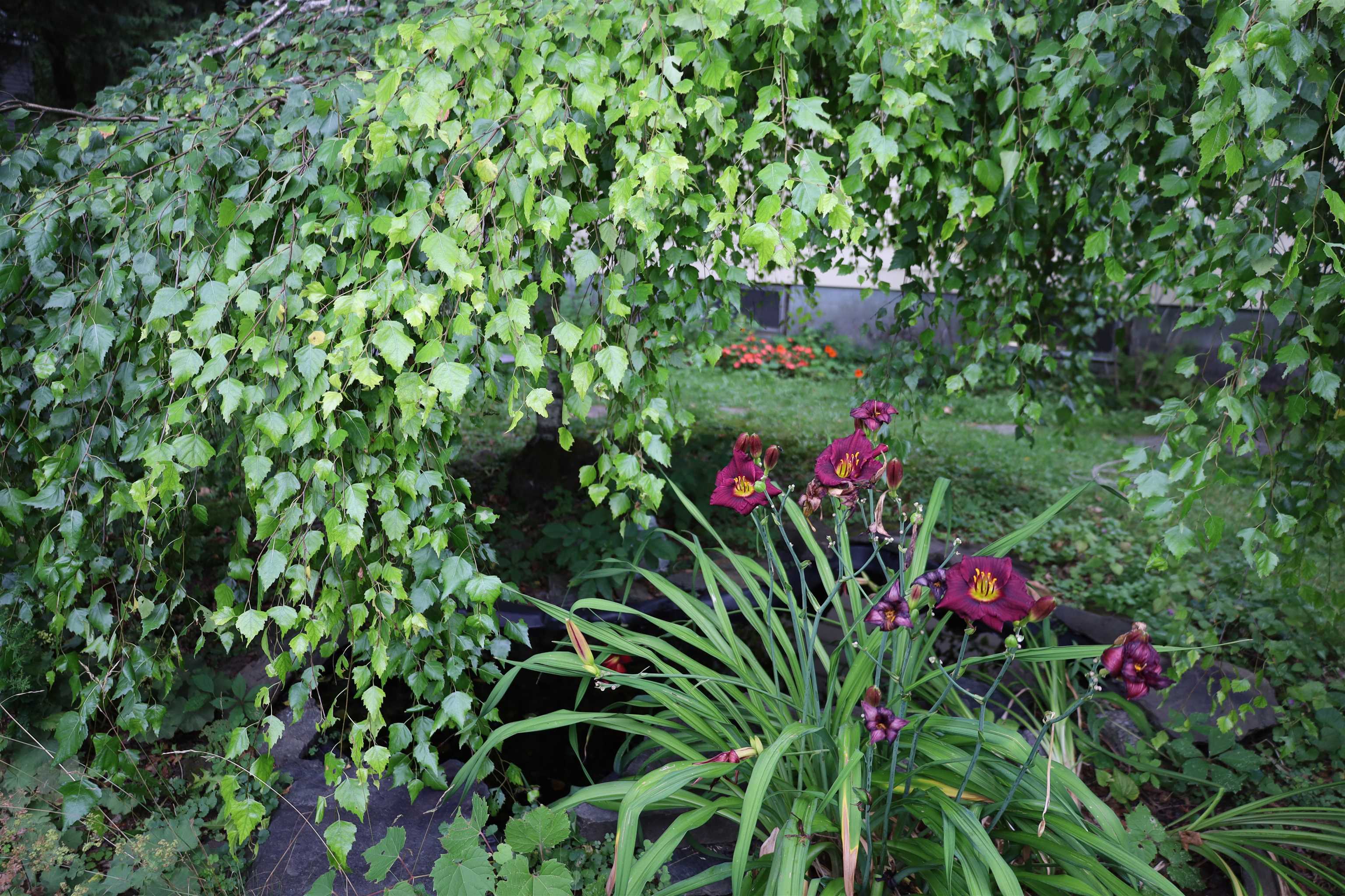 Homes for sale in St. Johnsbury, VT | 133 Barker Ave, St. Johnsbury, VT 05819 | MLS# 5054359