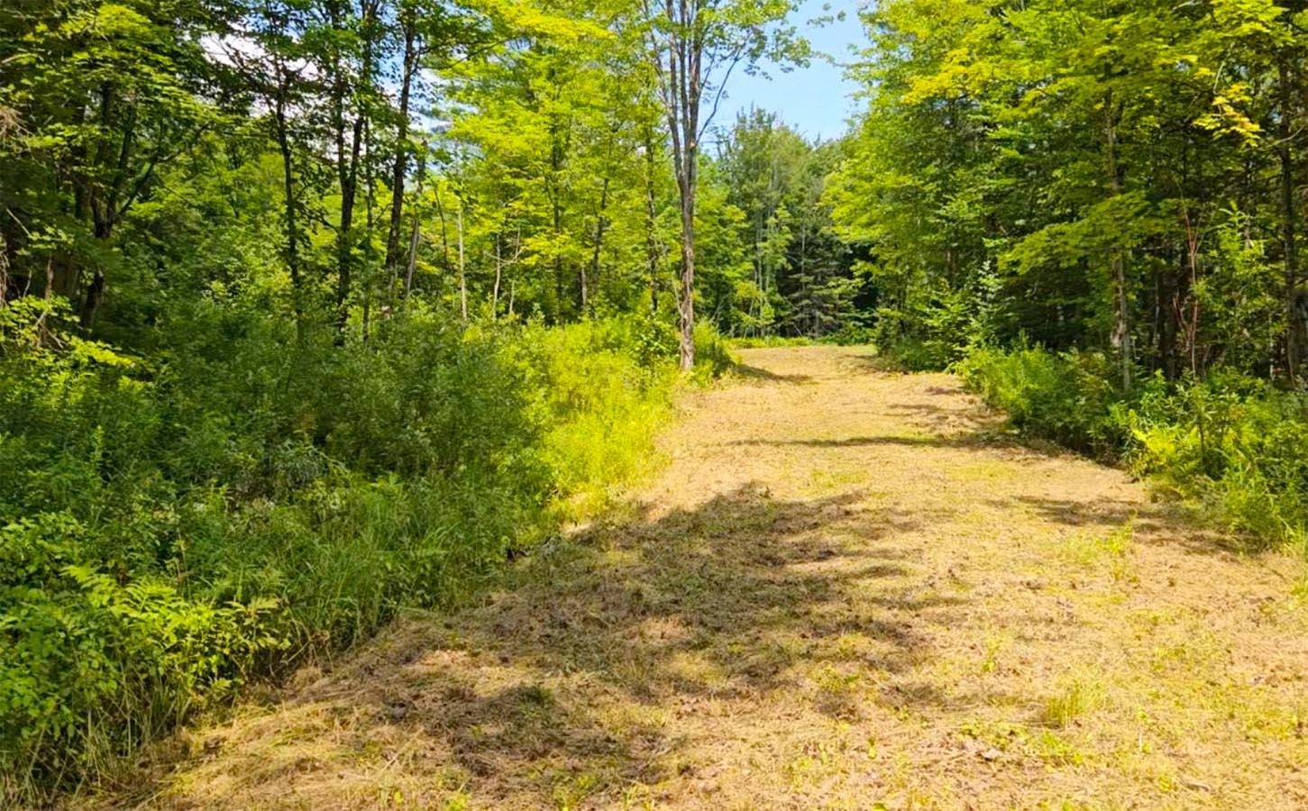 Homes for sale in Elmore, VT | 337 Lakeview Ln, Elmore, VT 05680 | MLS# 5054434