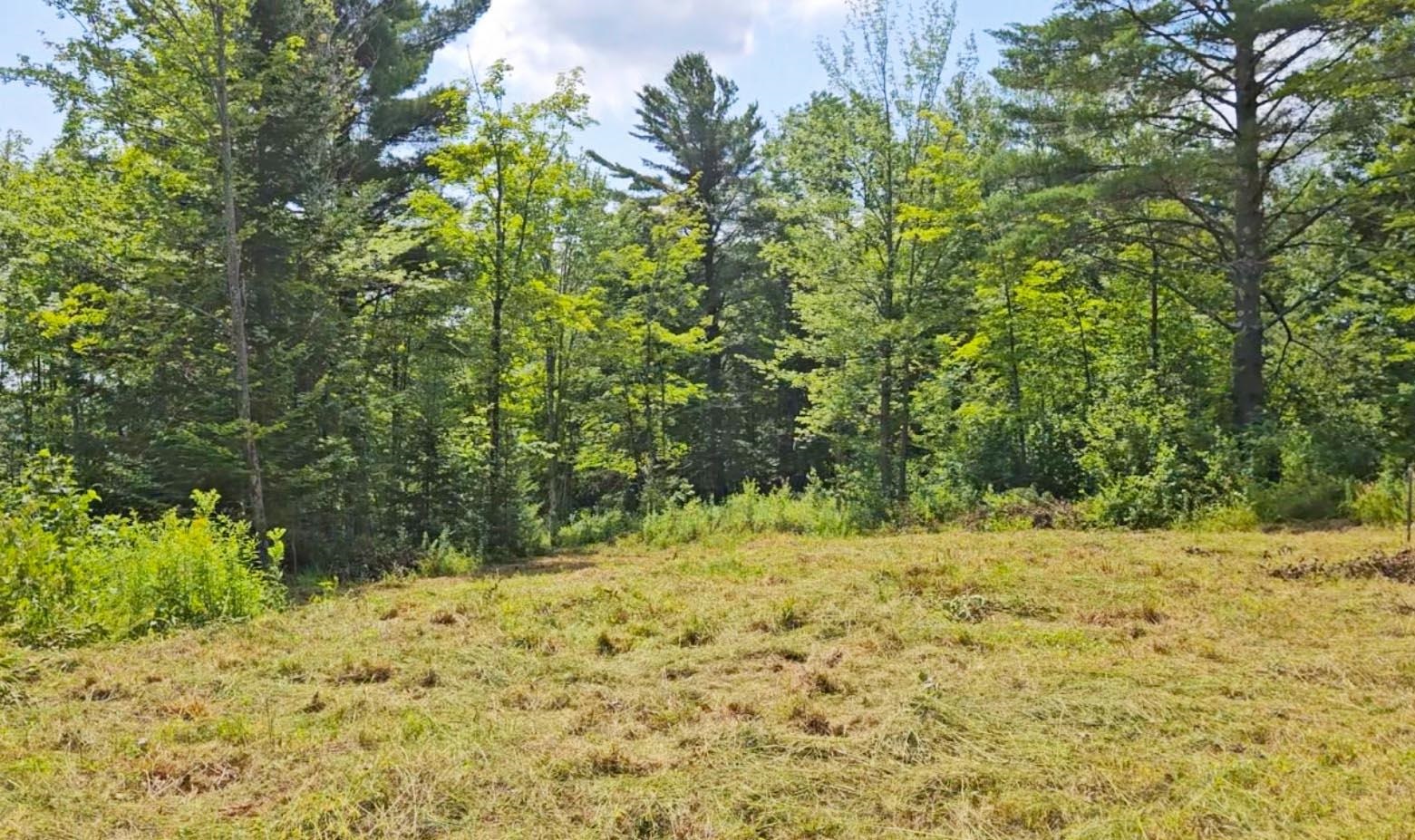 Homes for sale in Elmore, VT | 337 Lakeview Ln, Elmore, VT 05680 | MLS# 5054434