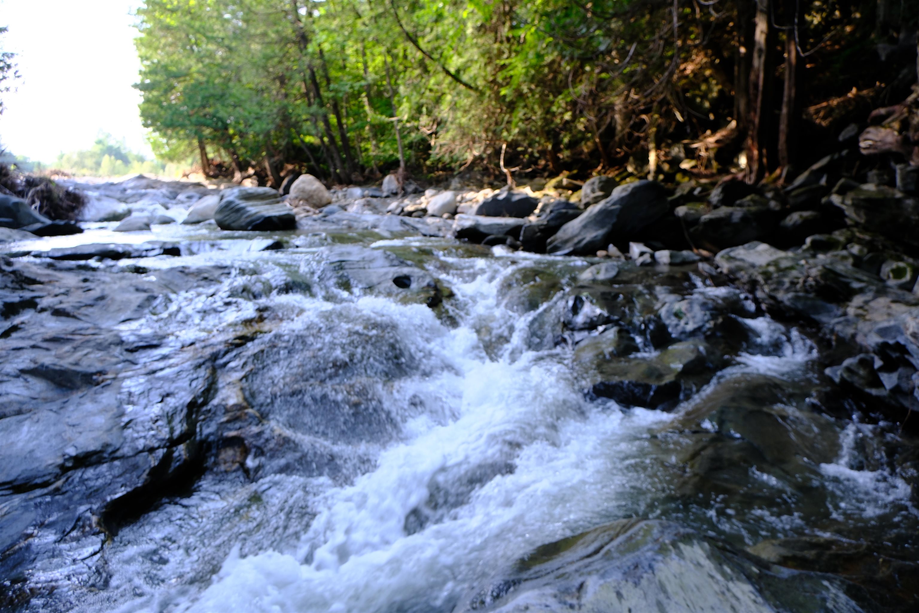 Homes for sale in Burke, VT | 0 Calendar Brook Rd, Burke, VT 05871 | MLS# 5054523