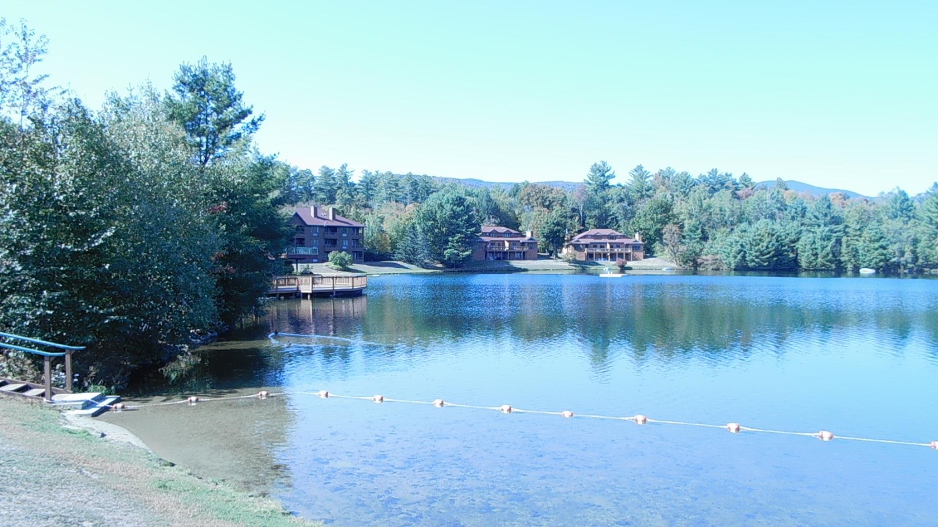5 acre spring-fed pond 23801598