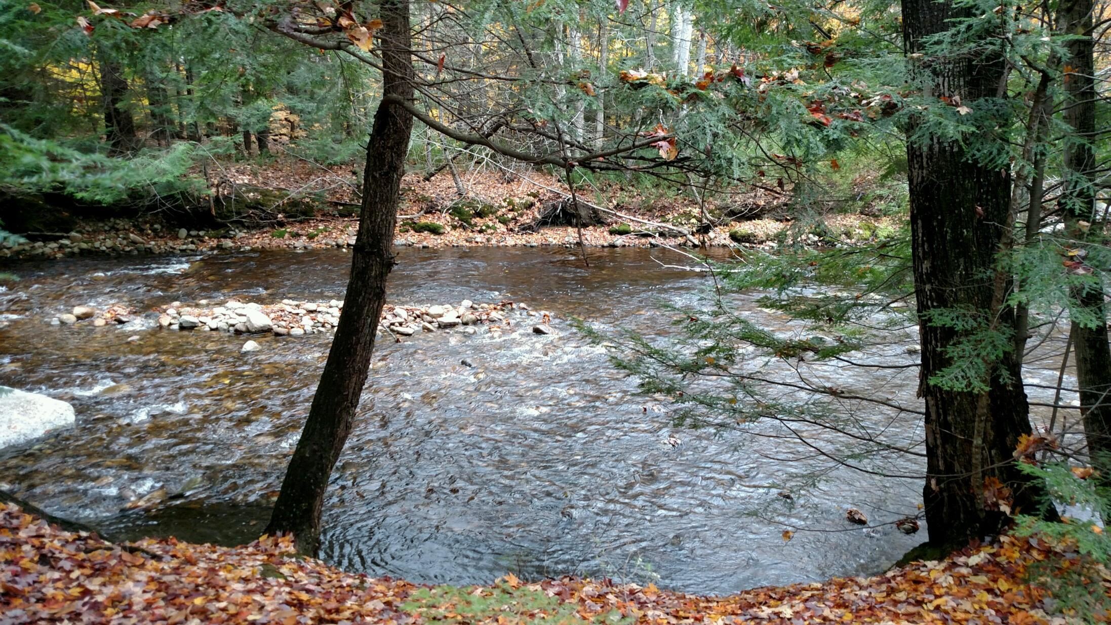 On the River!! 23801554