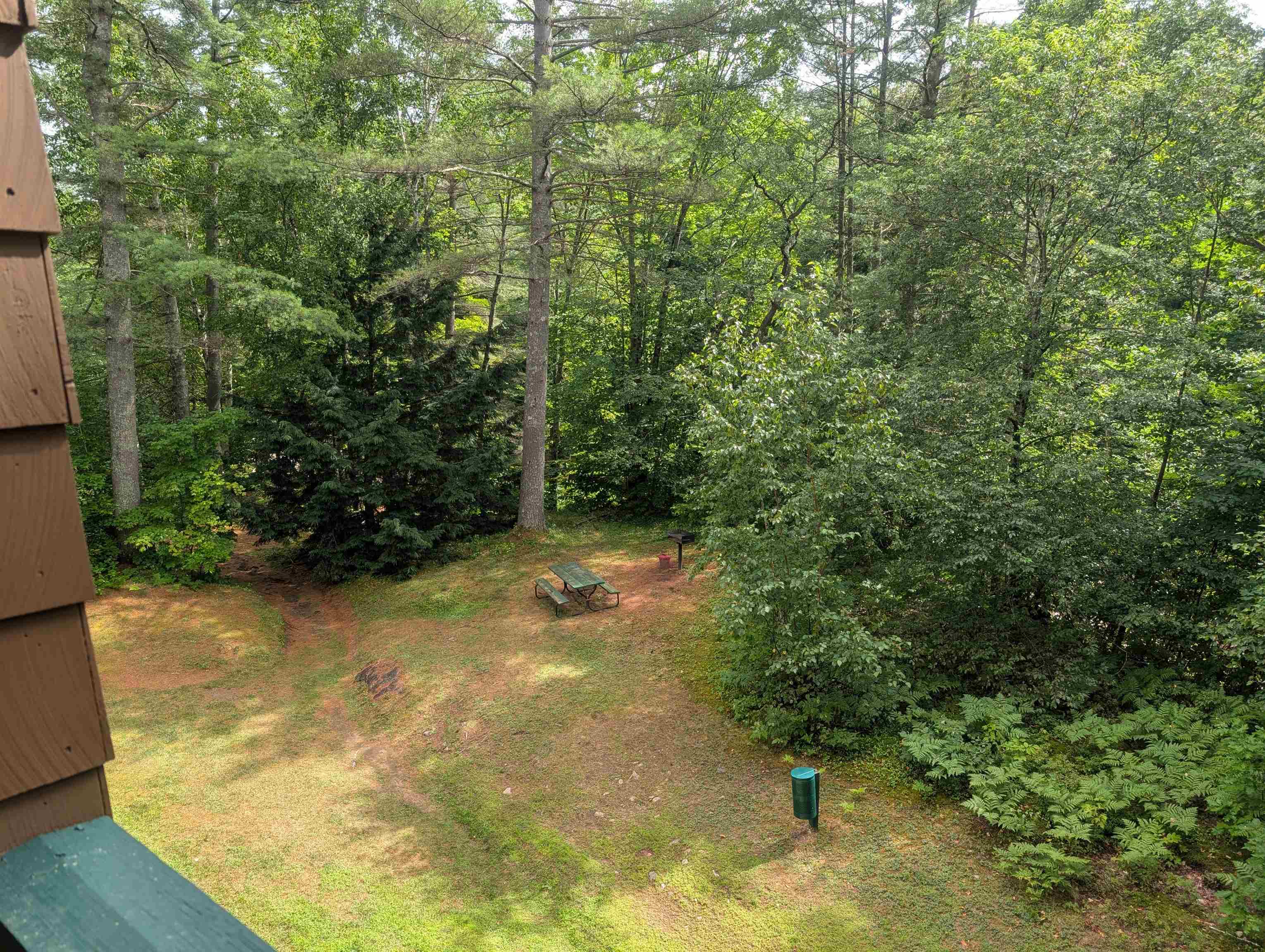 Views from Deck 23801340