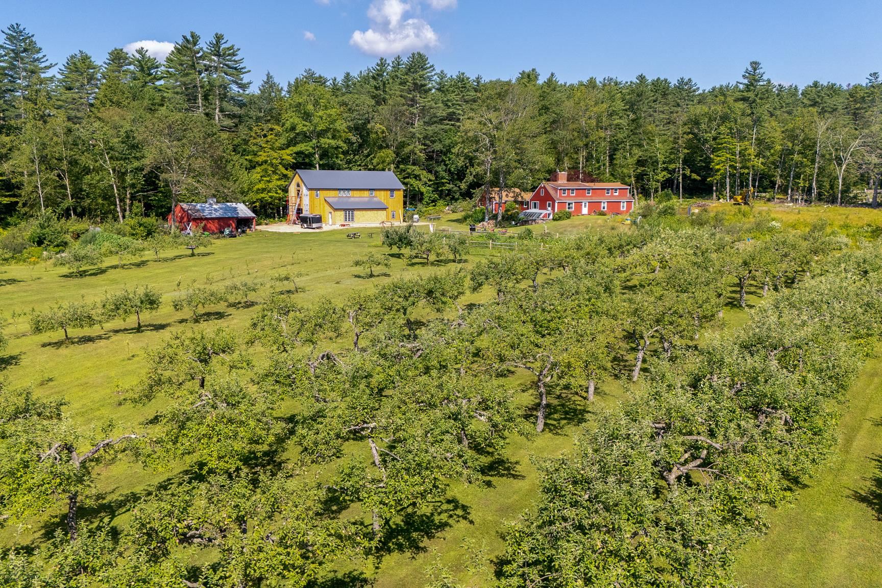 MLS #5054677 image #10