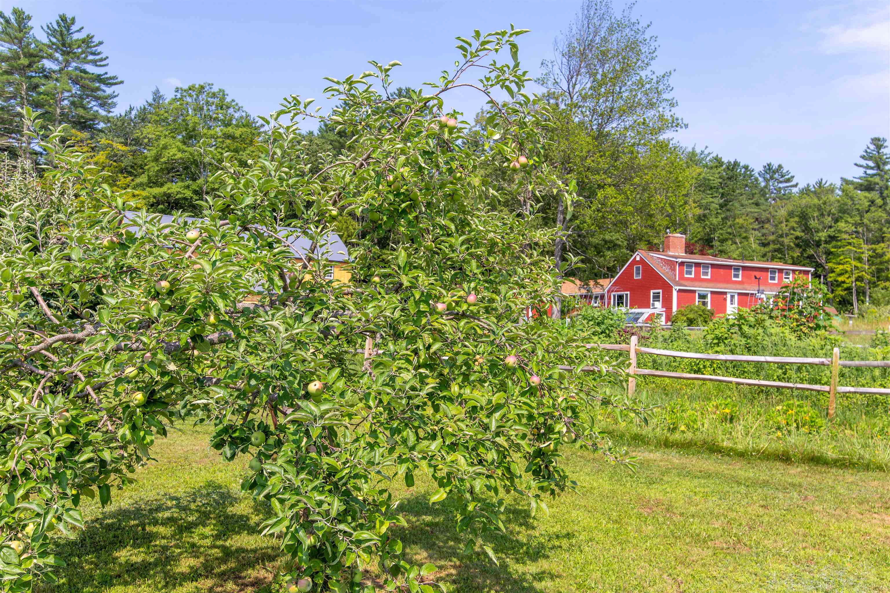 MLS #5054677 image #51