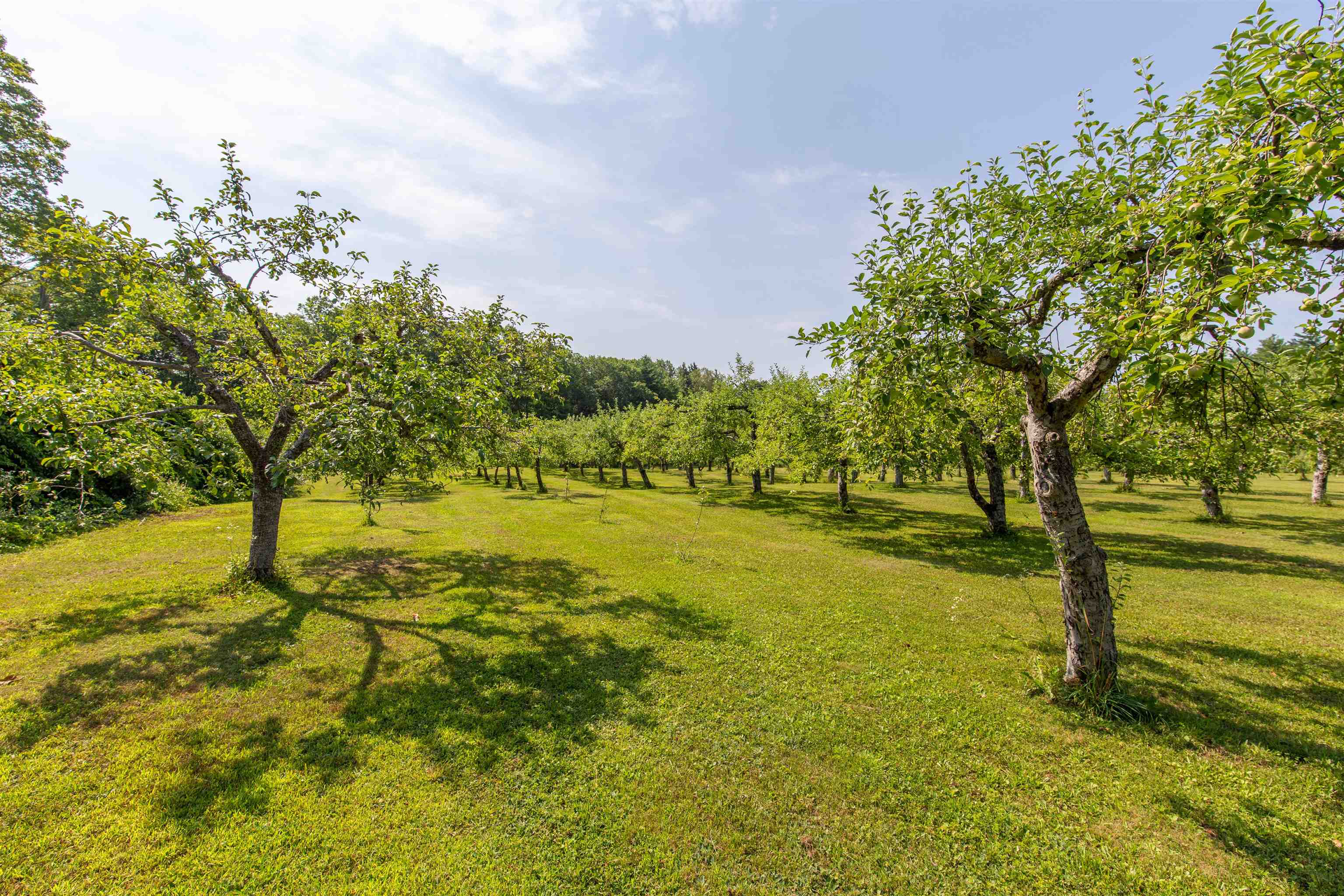 MLS #5054677 image #52