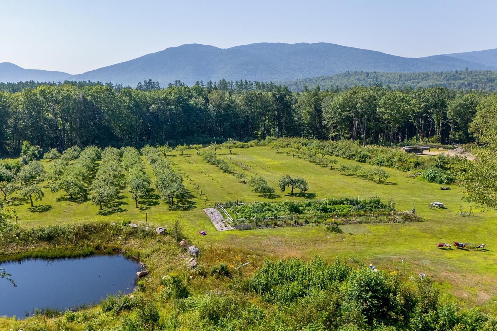 MLS #5054677 image #8