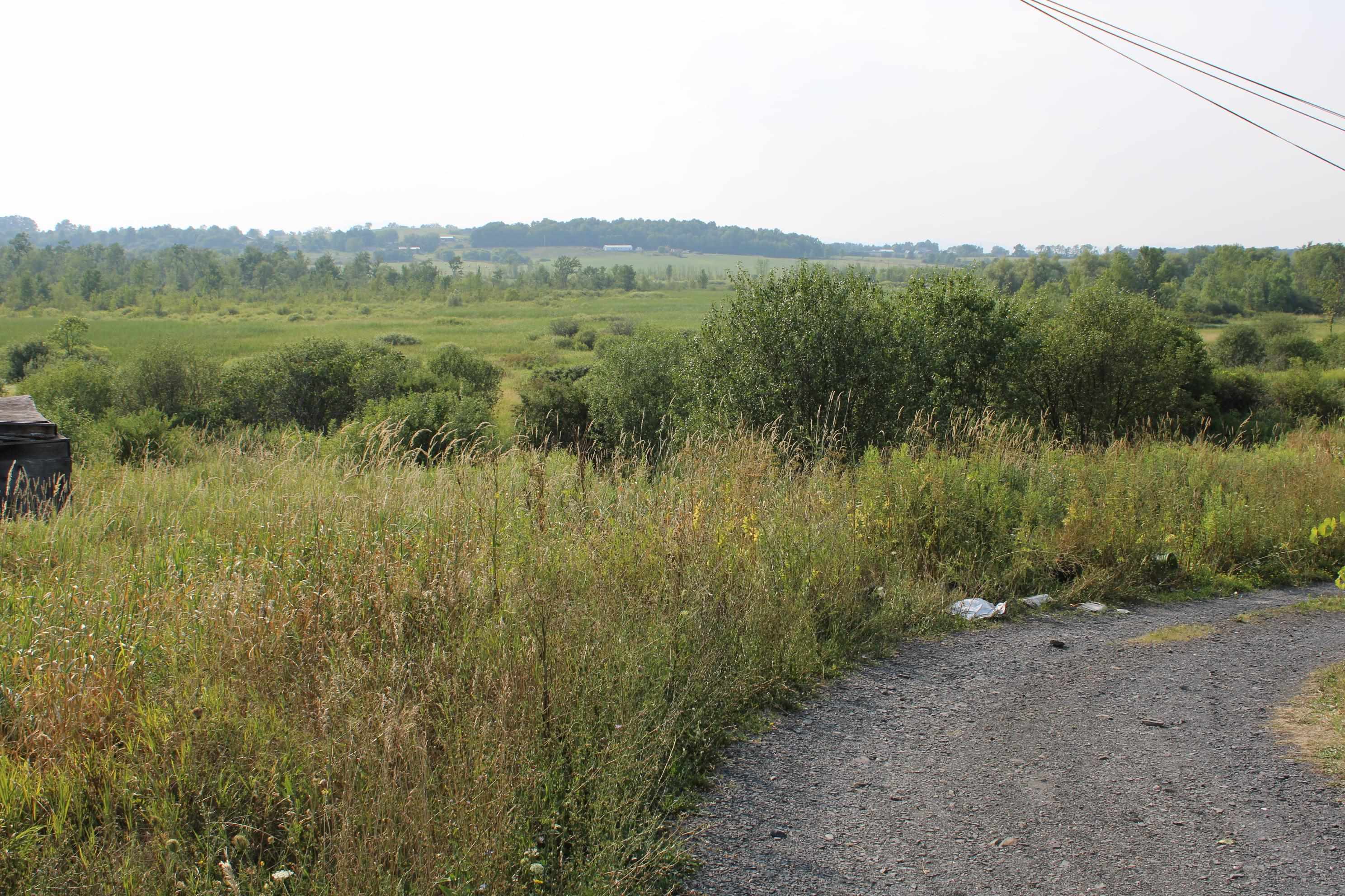 Homes for sale in Shoreham, VT | 1712 Route 22A, Shoreham, VT 05770 | MLS# 5054686