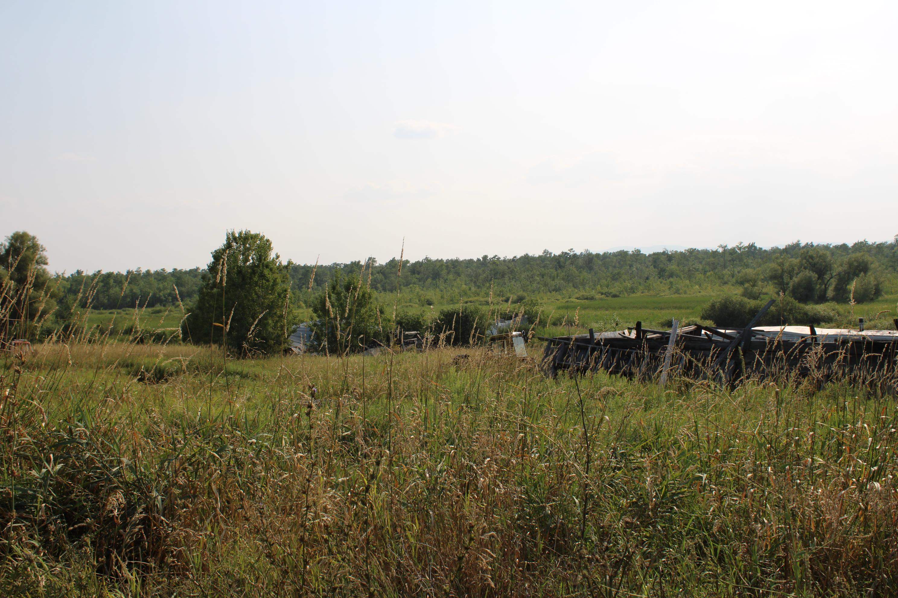 Homes for sale in Shoreham, VT | 1712 Route 22A, Shoreham, VT 05770 | MLS# 5054686