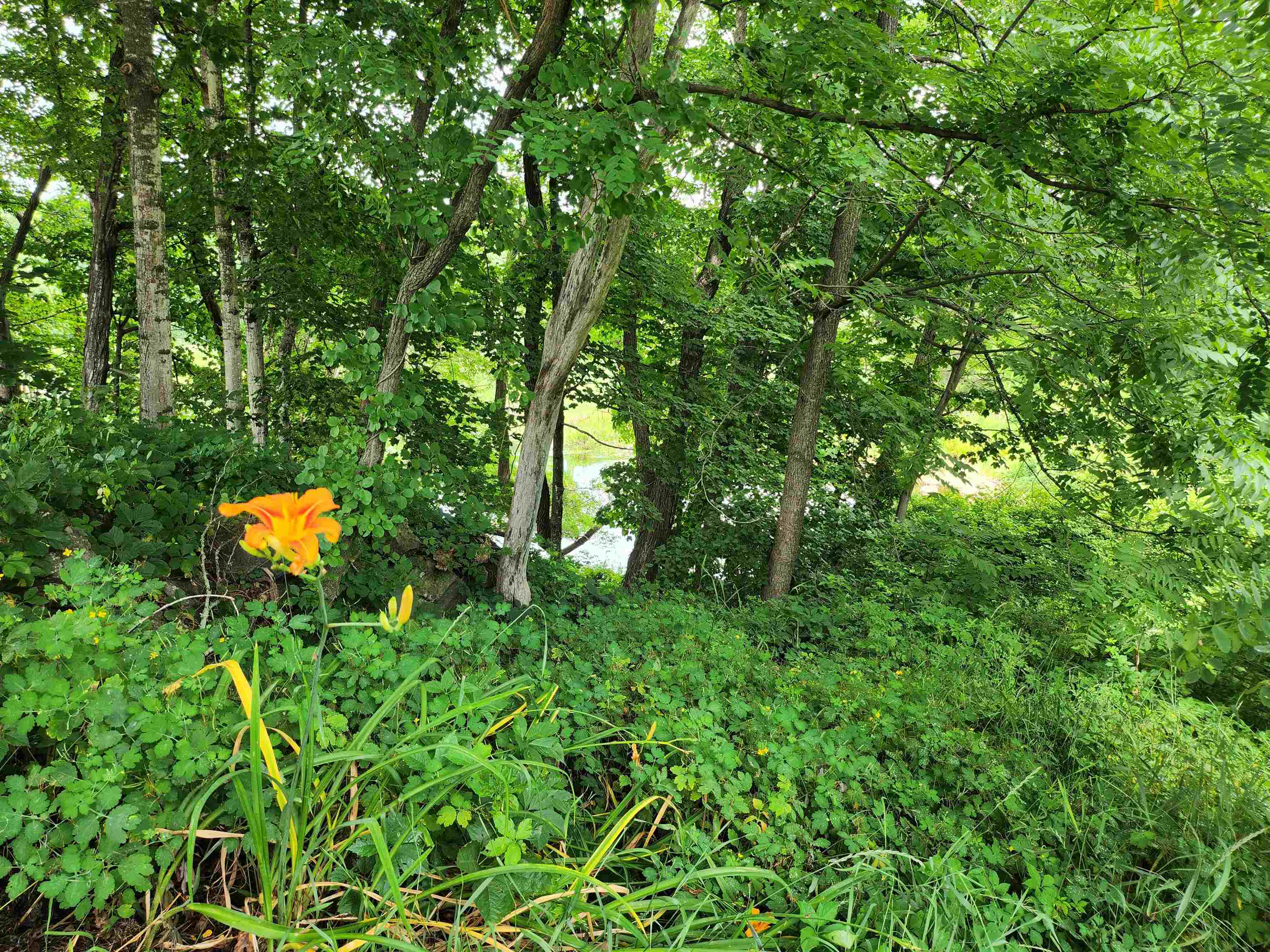 Homes for sale in Meredith, NH | 126 Meredith Center Rd, Meredith, NH 03253 | MLS# 5054688