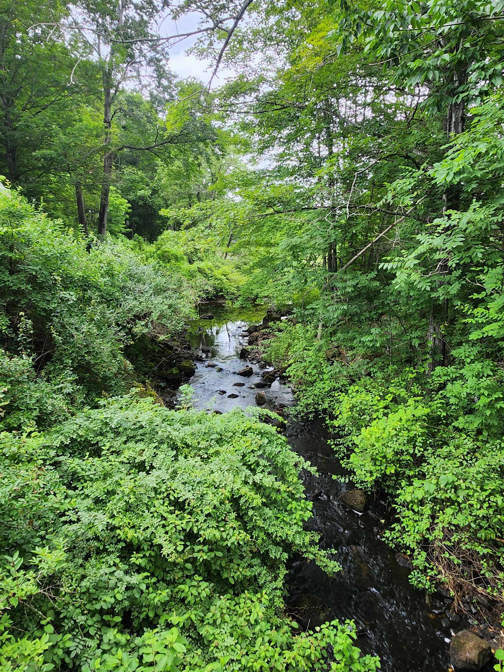 Homes for sale in Meredith, NH | 126 Meredith Center Rd, Meredith, NH 03253 | MLS# 5054688