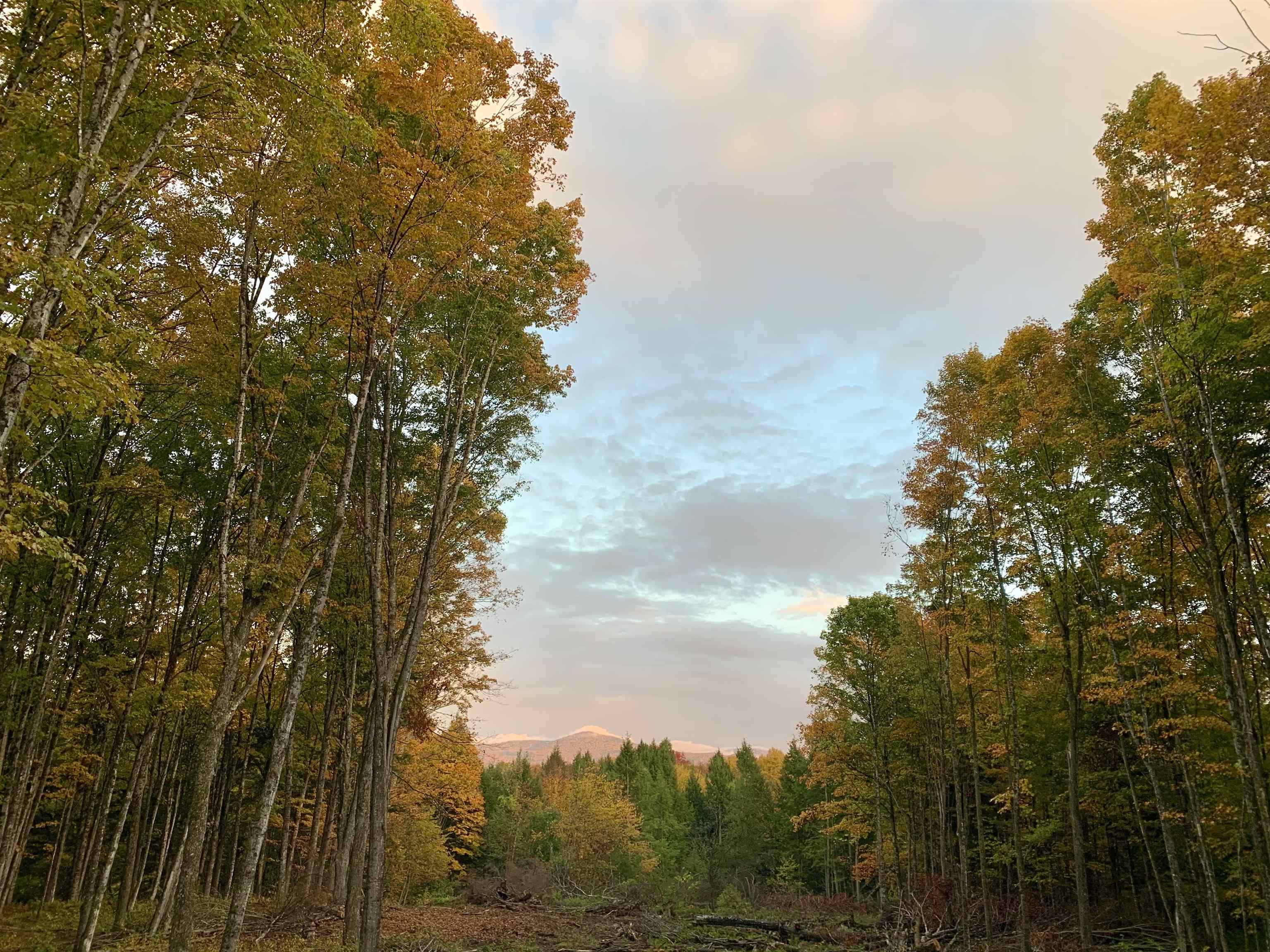 Homes for sale in East Montpelier, VT | 00 Vt Route 14, East Montpelier, VT 05651 | MLS# 5054698