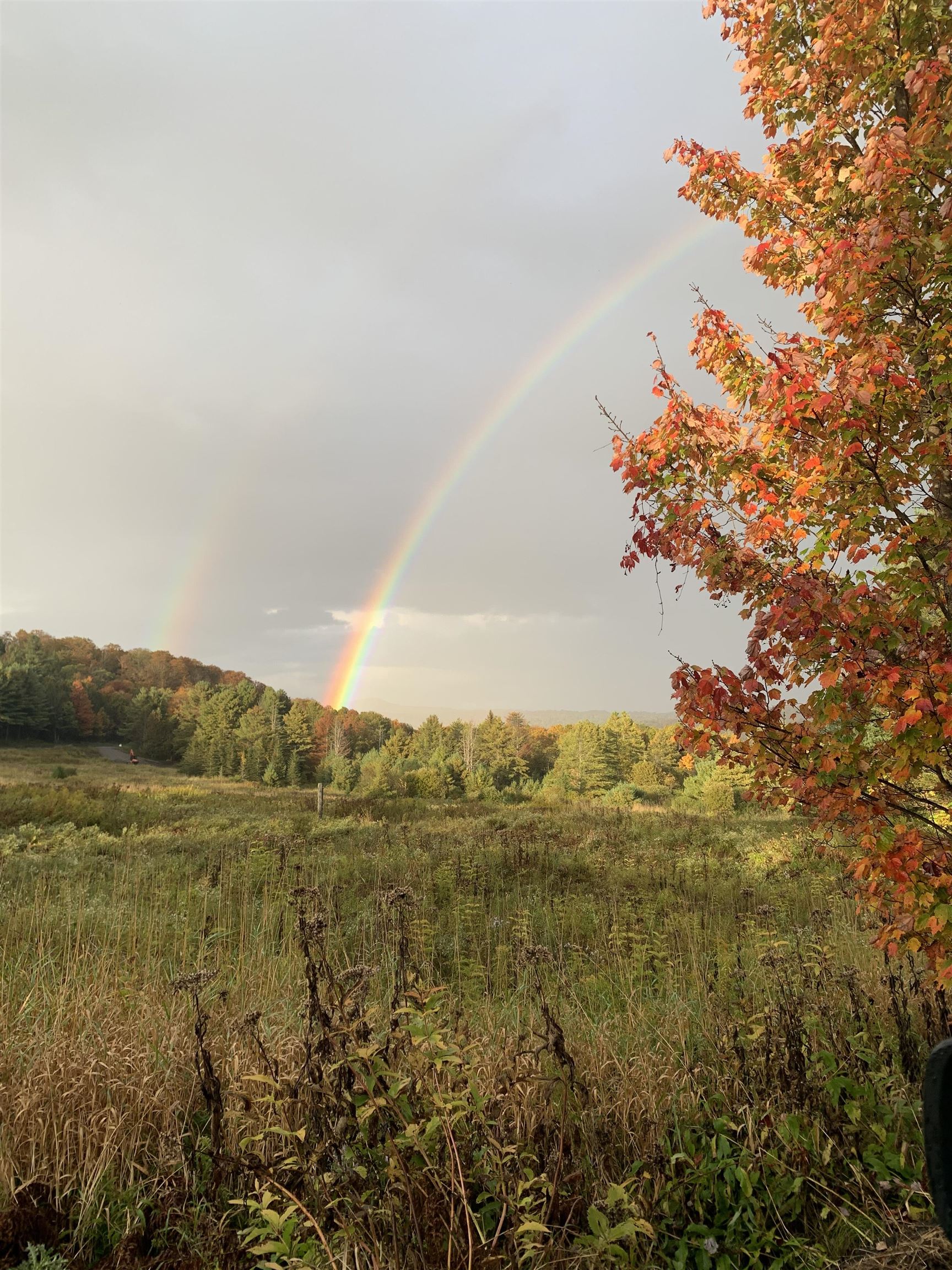 Homes for sale in East Montpelier, VT | 00 Vt Route 14, East Montpelier, VT 05651 | MLS# 5054698